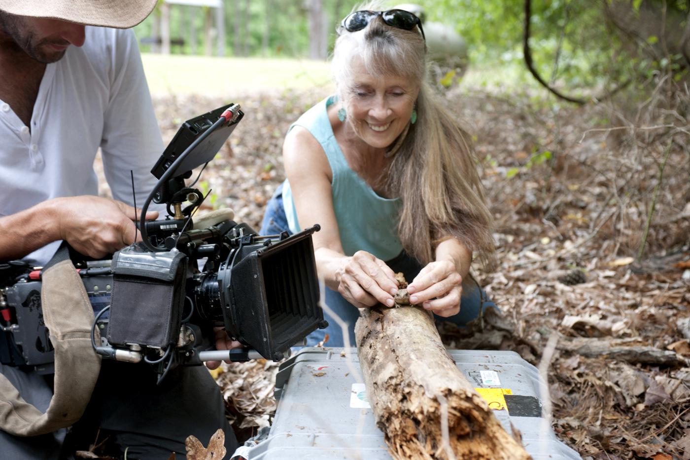 In early May, Mississippi State University wildlife professor Jeanne Jones worked with BBC film crews shooting footage of toads' ability to capture prey. (Photo by MSU University Relations/Megan Bean)