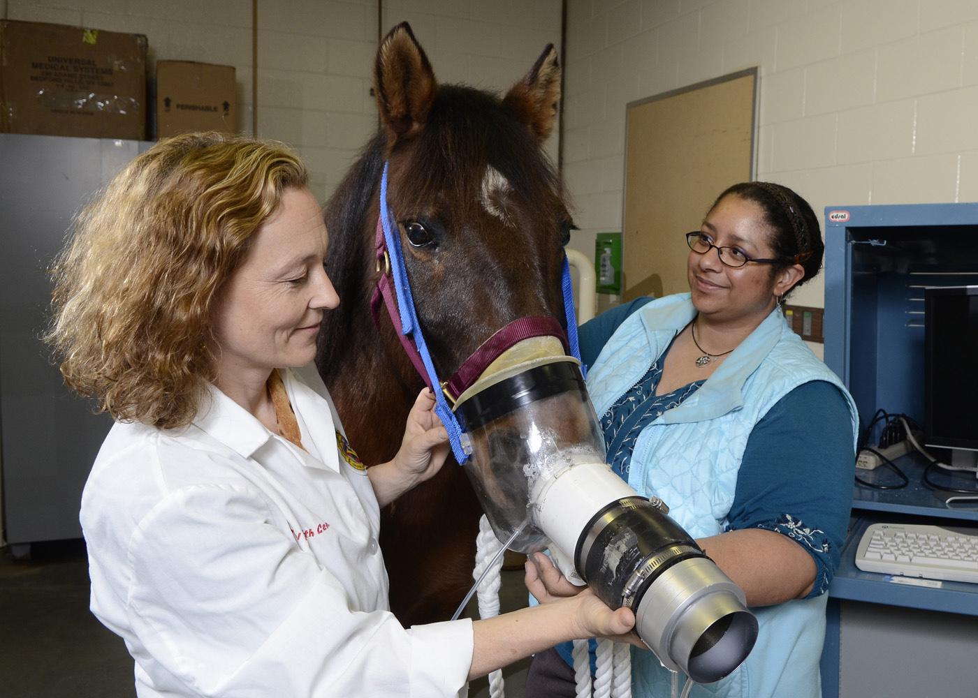 Drs. Cyprianna Swiderski (left) and Elizabeth Carothers perform lung function testing on Max, who suffers from an asthma-like condition. Swiderski's research is one of the studies at Mississippi State University's College of Veterinary Medicine designed to translate scientific advances from veterinary medicine to human medicine. (Photo by MSU College of Veterinary Medicine/Tom Thompson)
