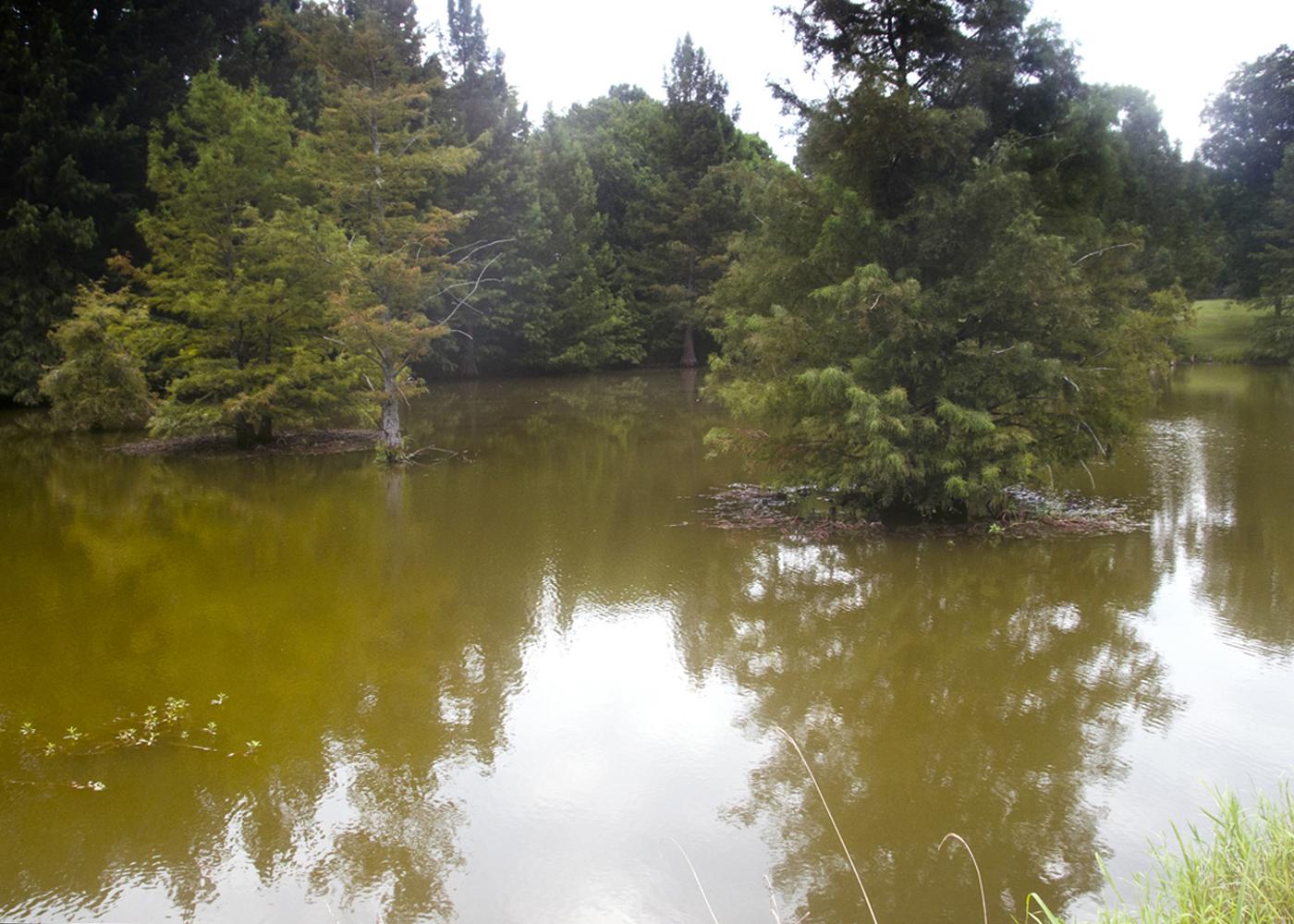 Ponds, such as this one on Oktoc Road in Oktibbeha County, can provide recreation, wildlife habitat and improved water quality. (Photo by MSU Ag Communications/Scott Corey)