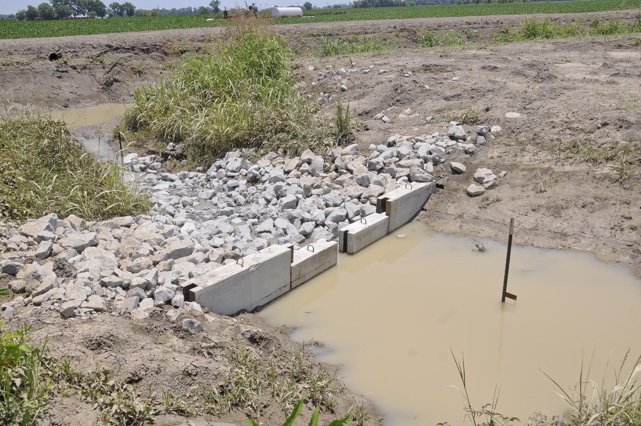 A low-grade weir, such as this one, slows runoff water leaving fields, allowing microbes in the soil and vegetation to pull nutrients out of the water, reducing the nutrients going downstream. (Photo by MSU Ag Communications/Scott Corey)