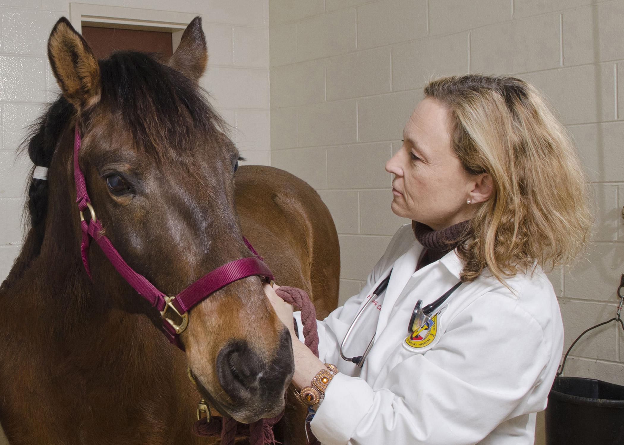 Dr. Cyprianna "Chipper" Swiderski's childhood love for horses put her on a career path including nearly 25 years as an equine practitioner and now as a faculty member in the Mississippi State University College of Veterinary Medicine. (Photo by MSU College of Veterinary Medicine/Tom Thompson)