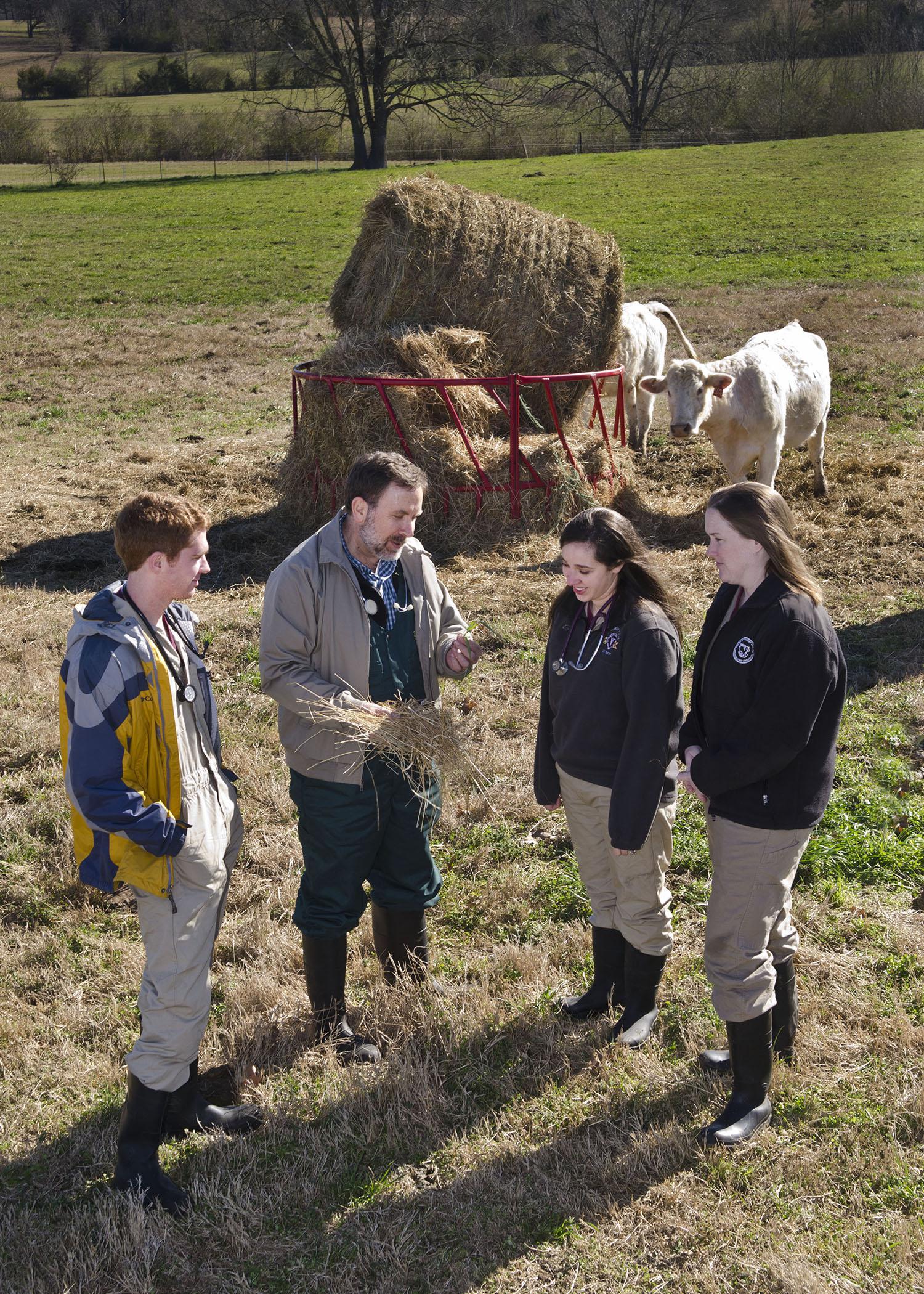 Dr. David Smith talks with Class of 2014 students, from left, Seth Jenkins, Lauren Comstock, and Lauren Bright. Smith says he believes his students learn to think on their feet while working with producers. (Photo by MSU College of Veterinary Medicine/Tom Thompson)