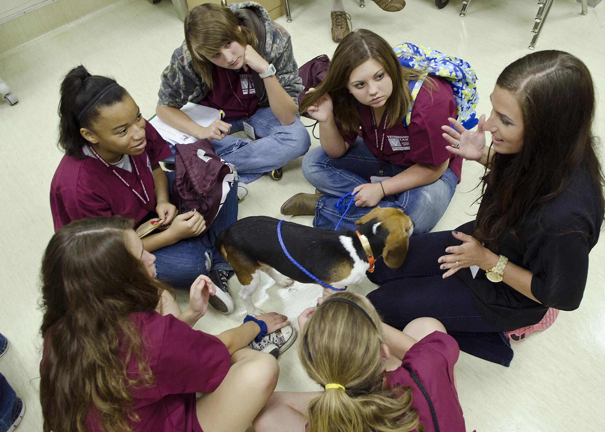 Melanie Barnett (far right), a second-year veterinary student at the Mississippi State University College of Veterinary Medicine, teaches young people enrolled in the college's Vet Camp how to perform a physical examination on a dog. (Photo by MSU College of Veterinary Medicine/Tom Thompson)