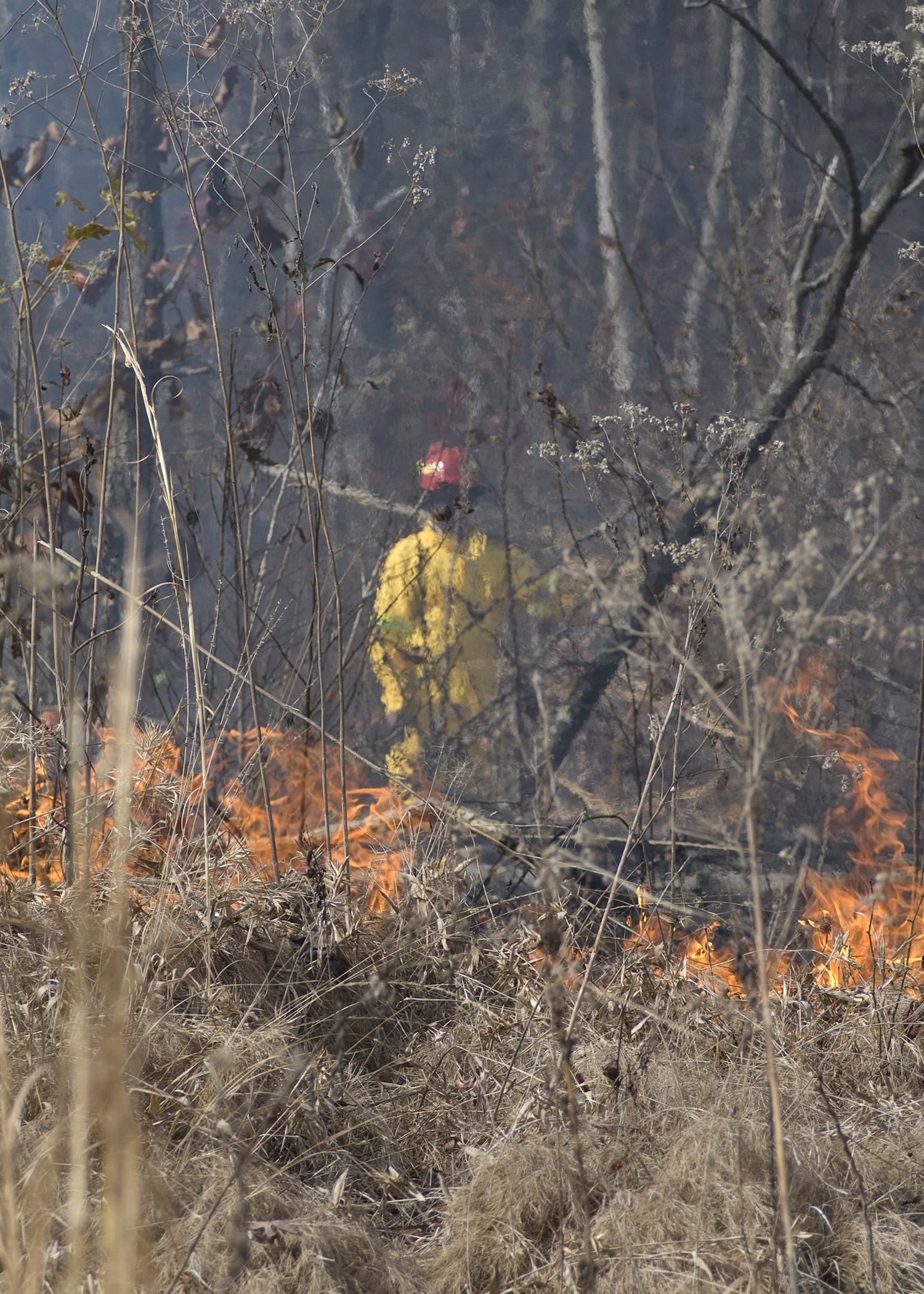 Clyde Brown, an agricultural technician with Mississippi State University's Forest and Wildlife Research Center, stands on a fire lane to monitor a prescribed fire on a cut-over in Oktibbeha County. After the site was clear cut and an aerial application of herbicide was applied, it was burned and replanted in pines. (Photo by MSU Forest and Wildlife Research Center)