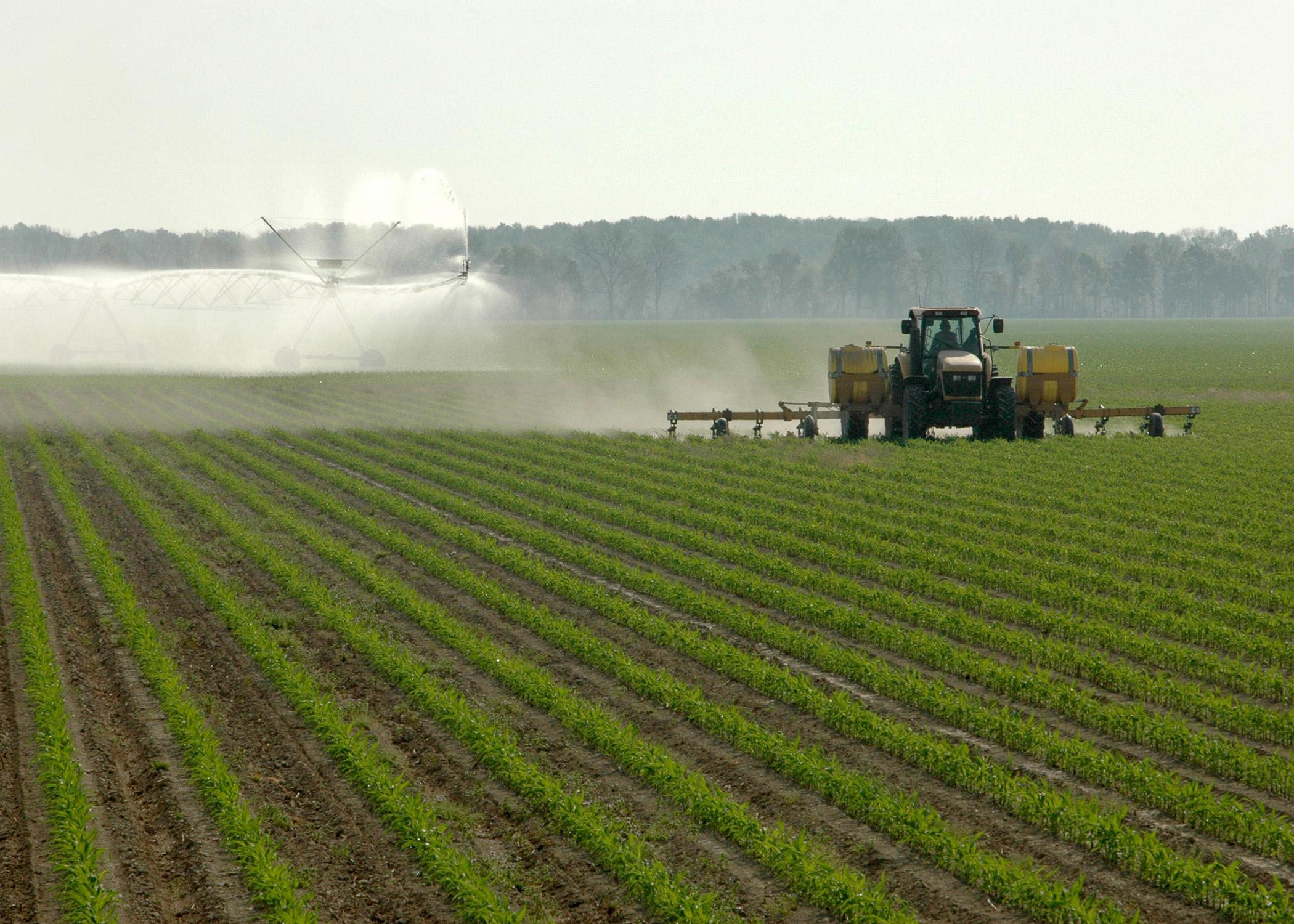 Water for farming and drinking has always been a plentiful resource in Mississippi, and Mississippi State University is taking steps to keep it that way. (File photo/MSU Delta Research and Extension Center)