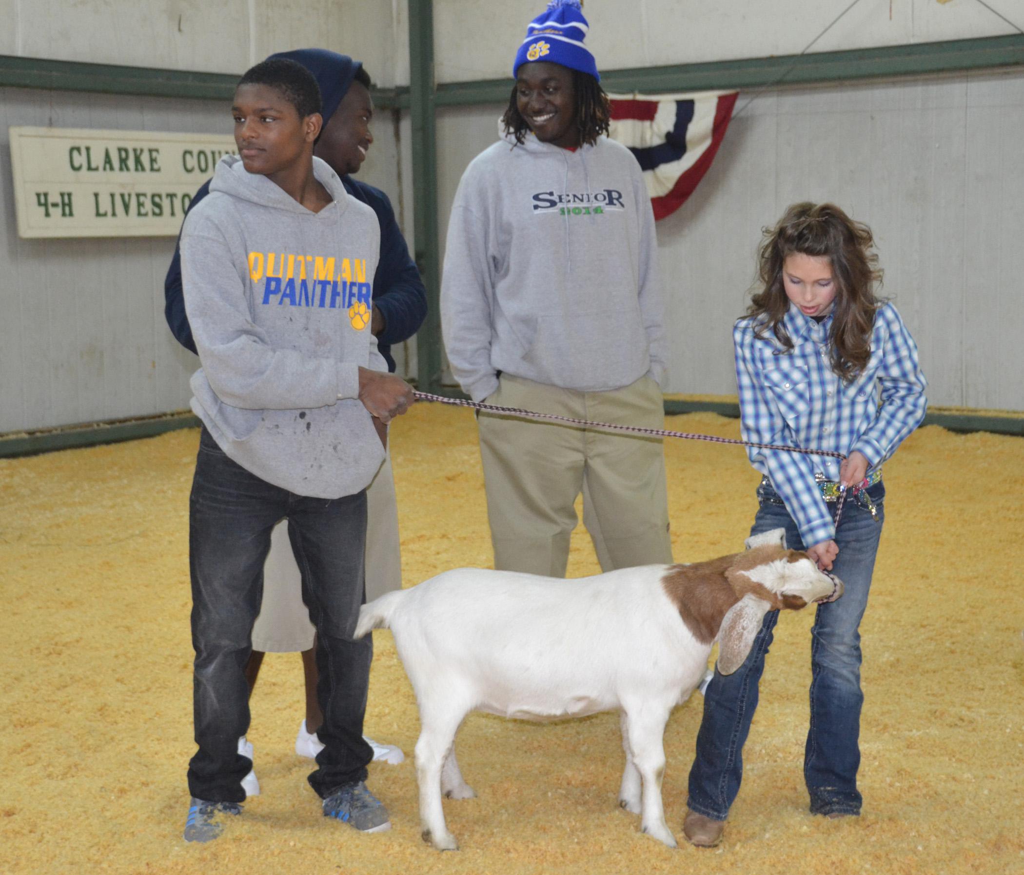 Christian Thornton, left, shows a goat with support from Lafredrick Leggett, Dykarius Arrington and Clarke County 4-H Livestock Club member Jesse Miller during the Clarke County 4-H Special Needs Livestock Show Jan. 17 in Quitman. (Photo by MSU Ag Communications/Susan Collins-Smith)