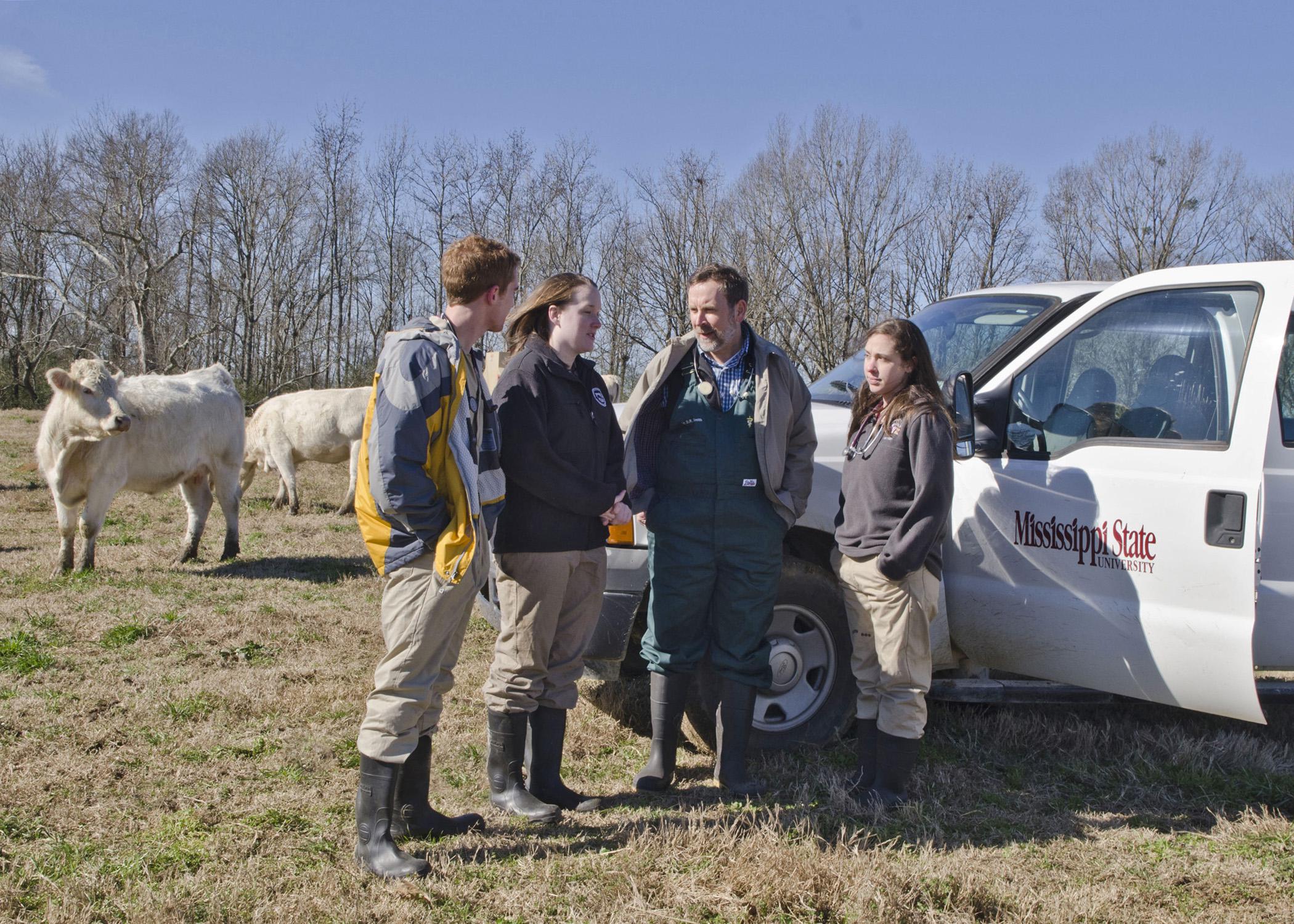 Lauren Bright, second from left, discusses the nutritional value of winter grasses for cattle with fellow Mississippi State University students Seth Jenkins and Lauren Comstock and Dr. David Smith. In May, Bright will be the first graduate of the college's combined DVM-Ph.D. program. (Photo by MSU College of Veterinary Medicine/Tom Thompson)