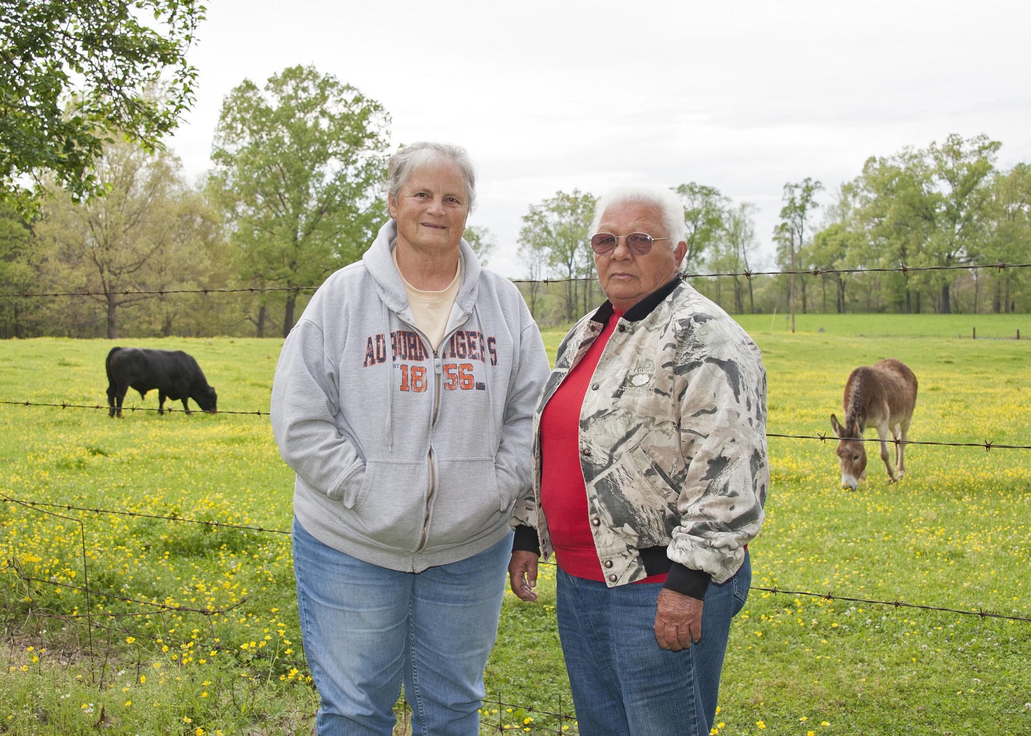Cattle producers Genette Hunt and Sarah Harvill of Franklin County use sustainable production methods, such as rotational grazing, to make their business more profitable while reducing their workload. The two began a joint farming operation in 1987 after retiring from the medical field. (Photo by MSU Ag Communications/Kat Lawrence)