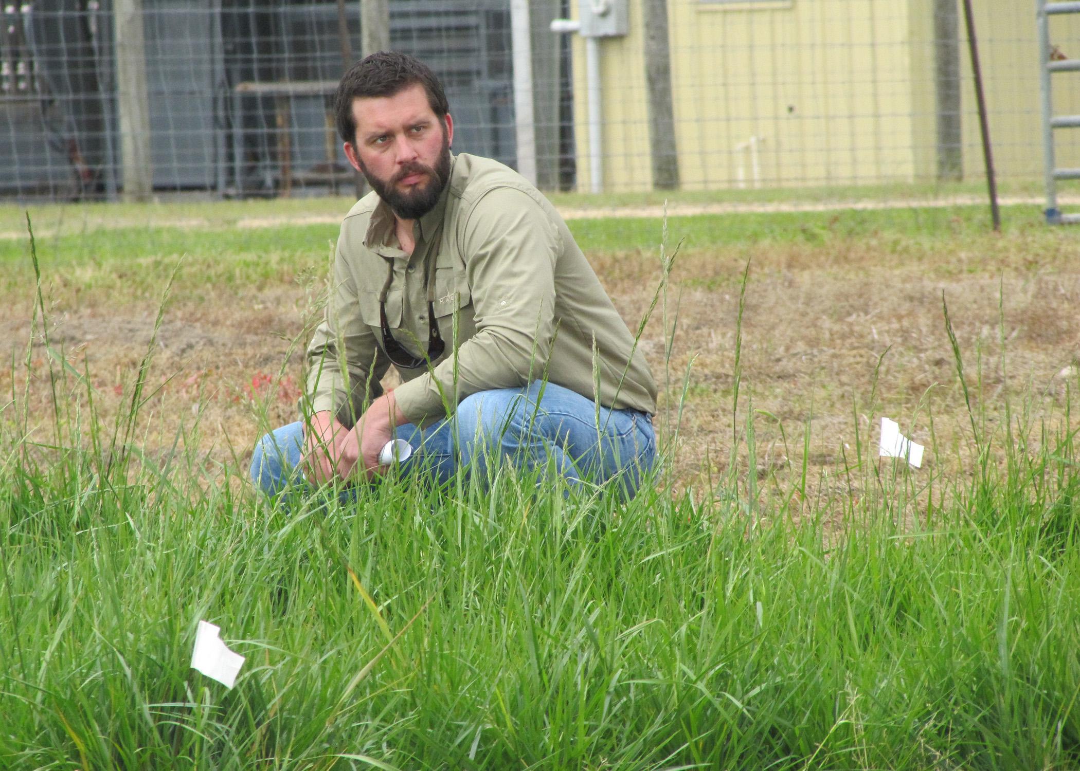 Jesse Morrison, Mississippi State University doctoral student and research associate, looks over a plot of eastern gamagrass. He joined an elite group of graduate students and scientists from around the country taking part in a program to raise awareness and support in Congress for science and research funding. (Submitted photo)