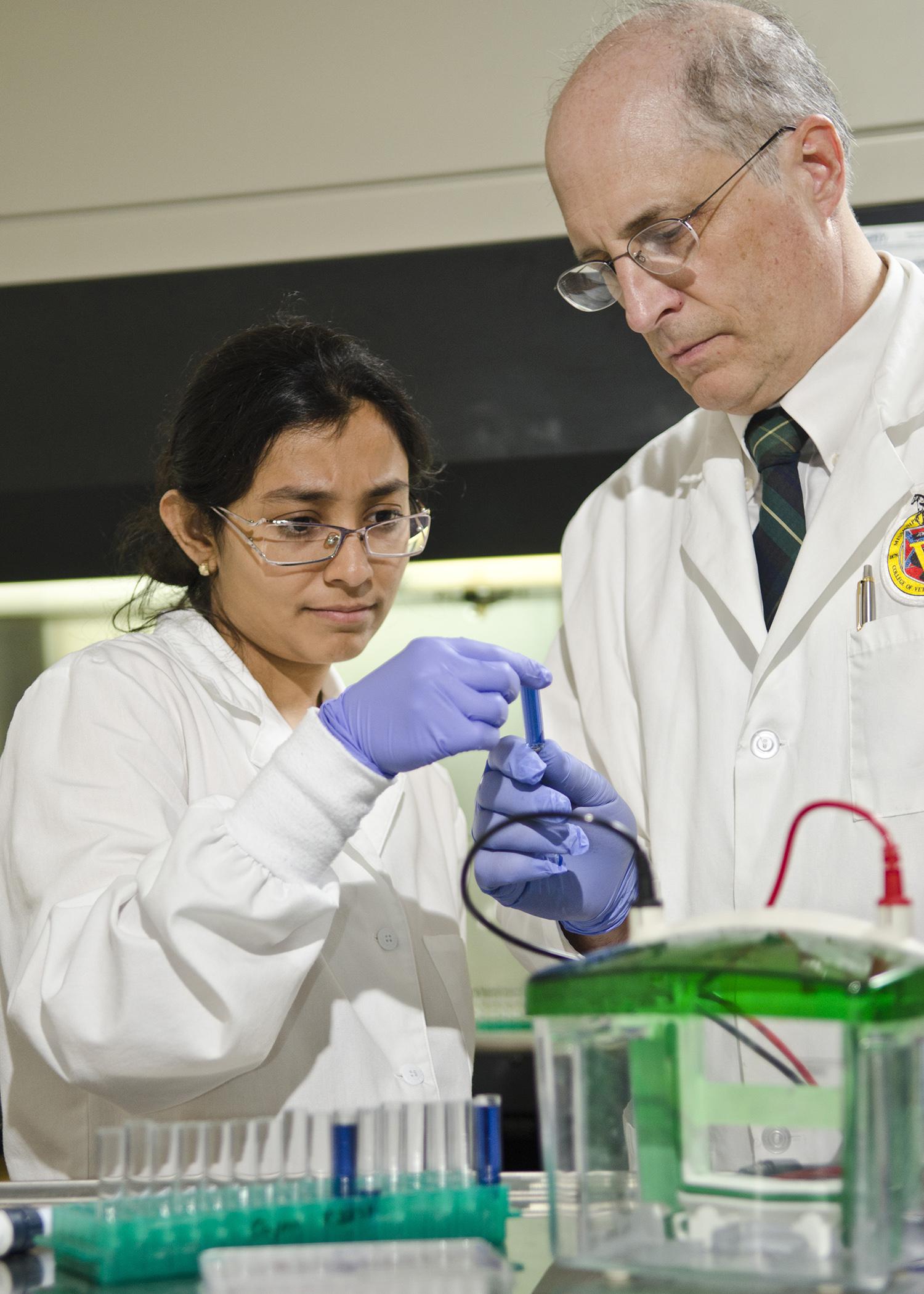 At the Mississippi State University College of Veterinary Medicine, Lakshmi Narayana, a postdoctoral associate, and Dr. Cody Coyne, a professor of molecular pharmacology and immunology, research cancer therapies that target specific cells. (Photo by MSU College of Veterinary Medicine/Tom Thompson)