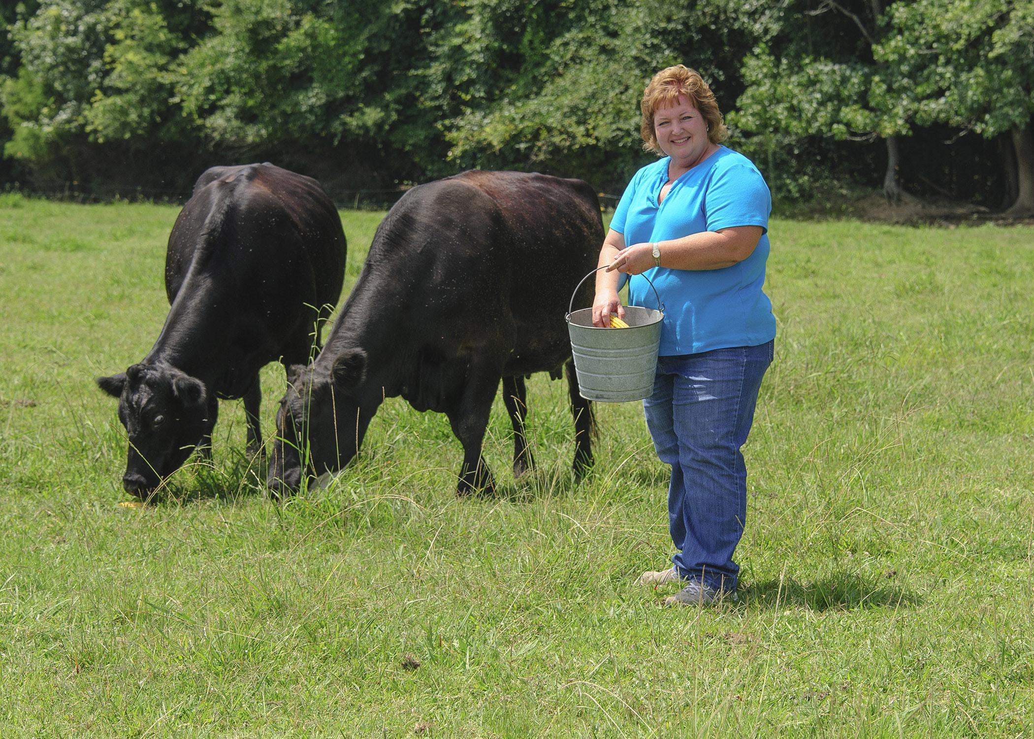 Sandy Coleman Mitchell feeds cattle at her family's farm in Corinth on July 14, 2014. Mitchell strives to educate her community about the importance of agriculture. (Photo by MSU Ag Communications/Kevin Hudson)