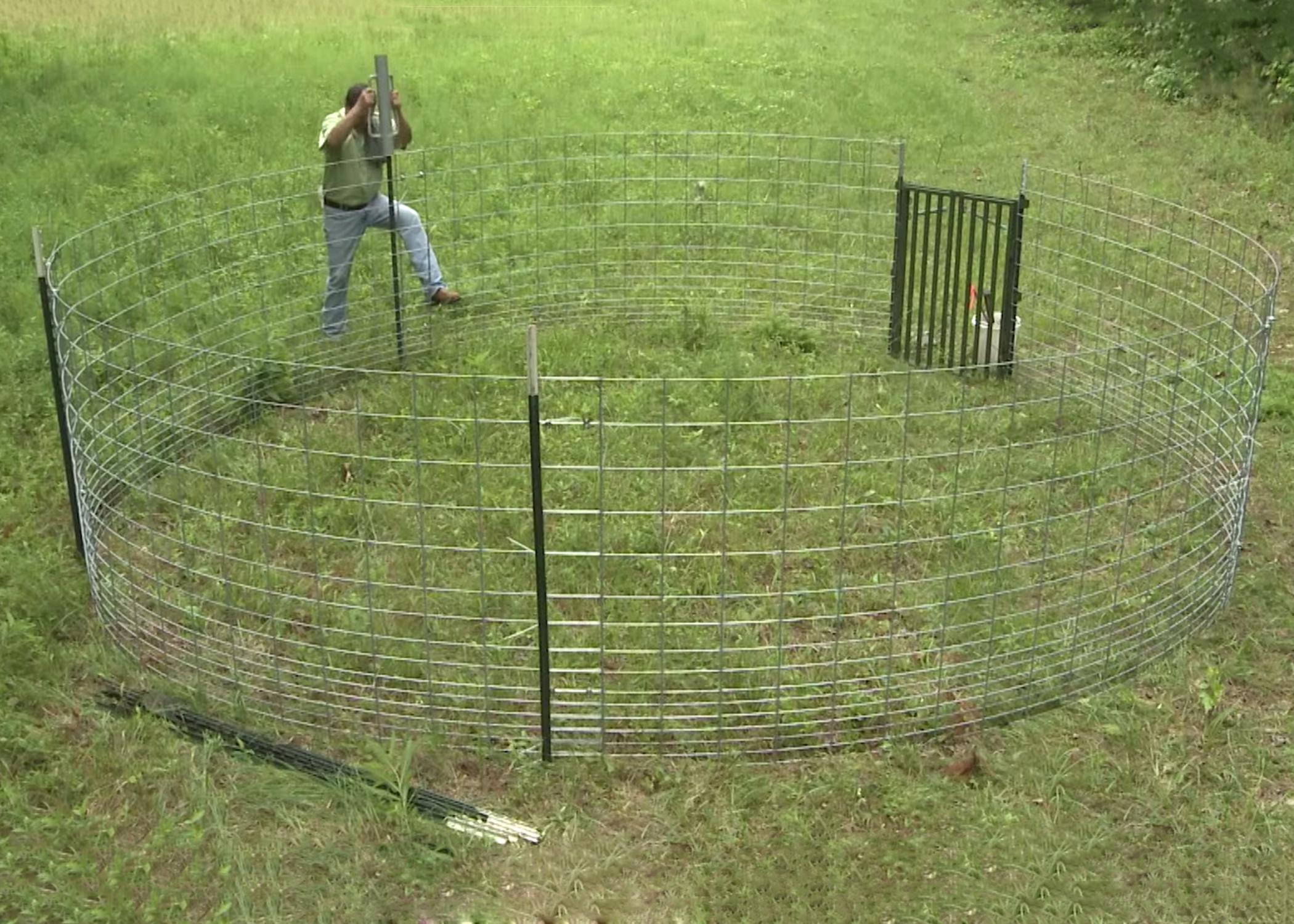Bill Hamrick, a wildlife associate with the Mississippi State University Extension Service, constructs a corral trap, which wildlife biologists contend is the most effective method for reducing rapidly growing numbers of pigs. (Photo by MSU Ag Communications/Brian Utley)