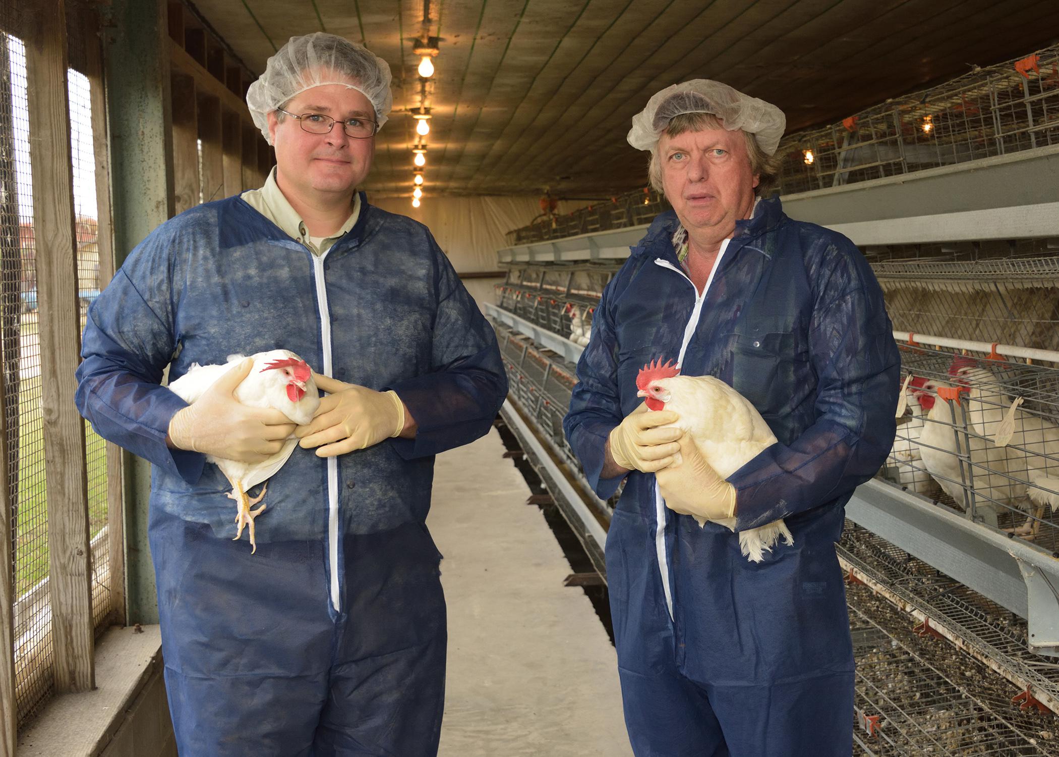 Mississippi State University Extension Service poultry specialists Morgan Farnell (left) and Tom Tabler are working with representatives from the Mississippi Department of Health to improve conditions at the Mississippi Department of Corrections poultry facility in Parchman, Mississippi. (MSU Ag Communication 2014 file photo)