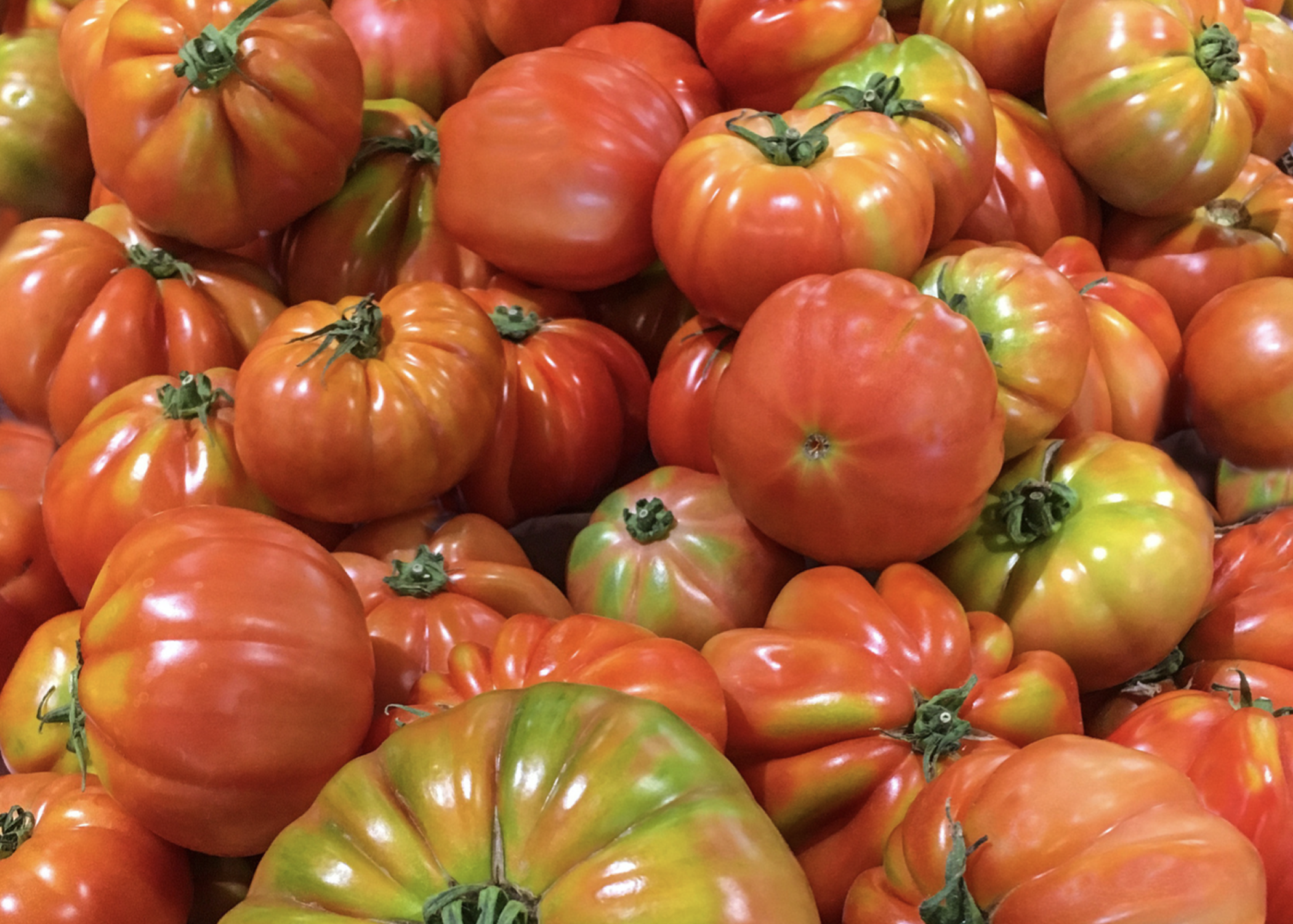 A pile of heirloom tomatoes