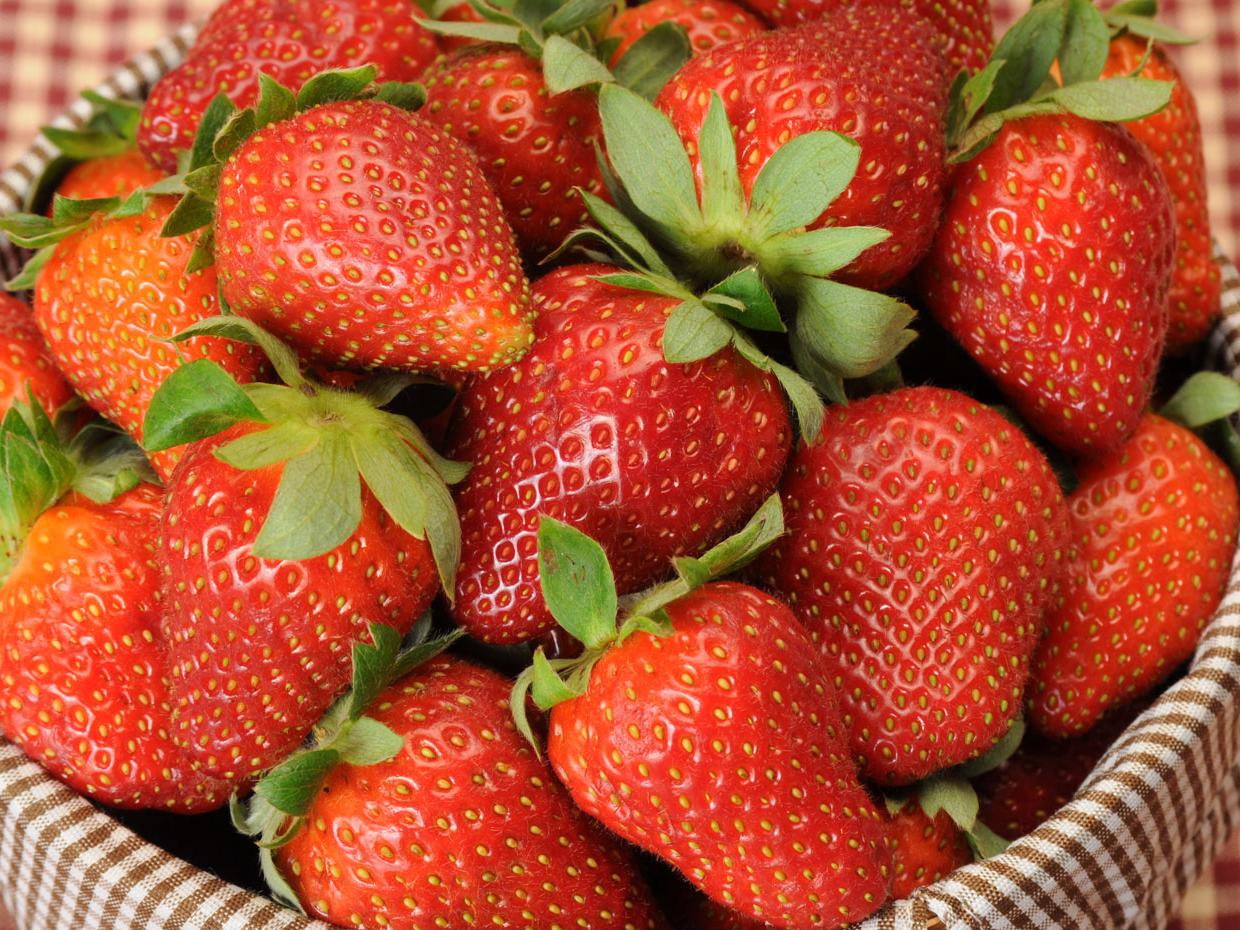 Mississippi's strawberry growers are finding that consumers prefer the taste of the state's fresh berries. (Photo by Kat Lawrence)
