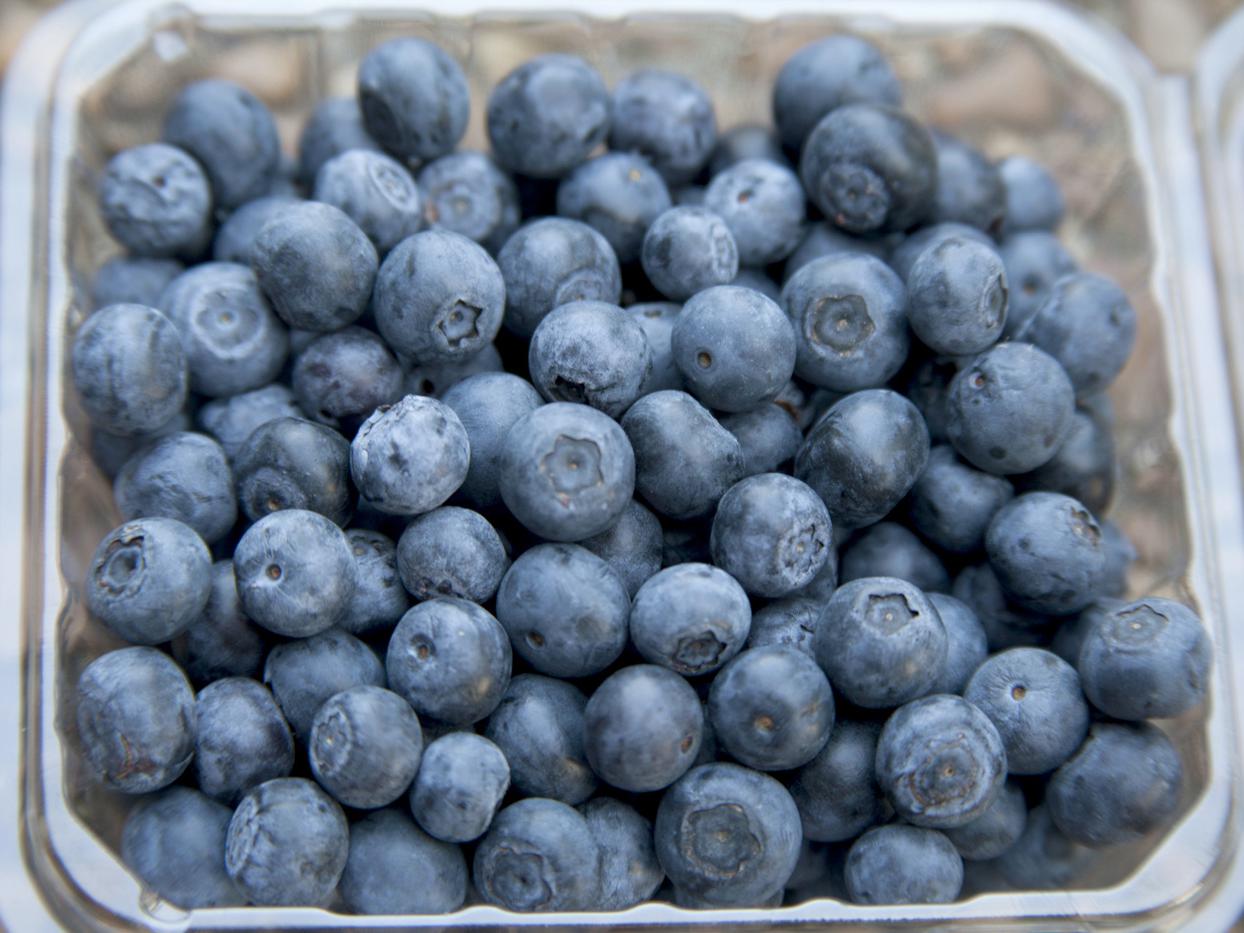 Mississippi's blueberry growers benefitted from ideal weather conditions that resulted in abundant, high-quality fruit, an early harvest and strong market prices. (Photo by MSU Ag Communications/Kat Lawrence)