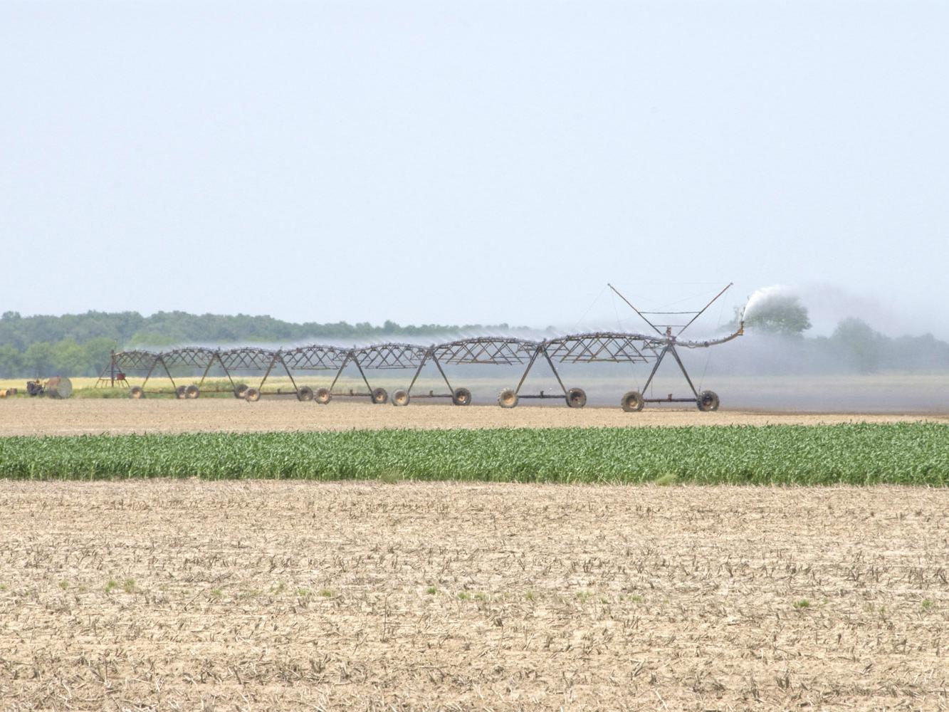 Recent high temperatures and a lack of rain have been harder on crops without irrigation than those with it. Many Mississippi farms are watered through pivot irrigation systems. (Photo by MSU Ag Communications/Marco Nicovich)