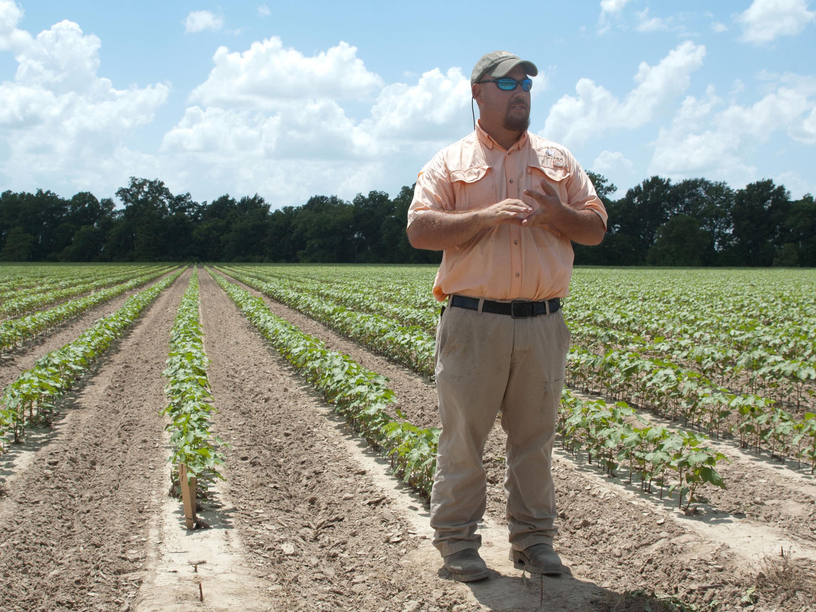 Darrin Dodds, Mississippi State University Extension cotton specialist, says cotton producers remain optimistic about their crop even though planting was frequently interrupted and spread out over a longer period of time. Dodds spoke to producers June 17, 2014 at the Delta Research and Extension Center in Stoneville, Mississippi. (Photo by MSU MAFES/David Ammon)