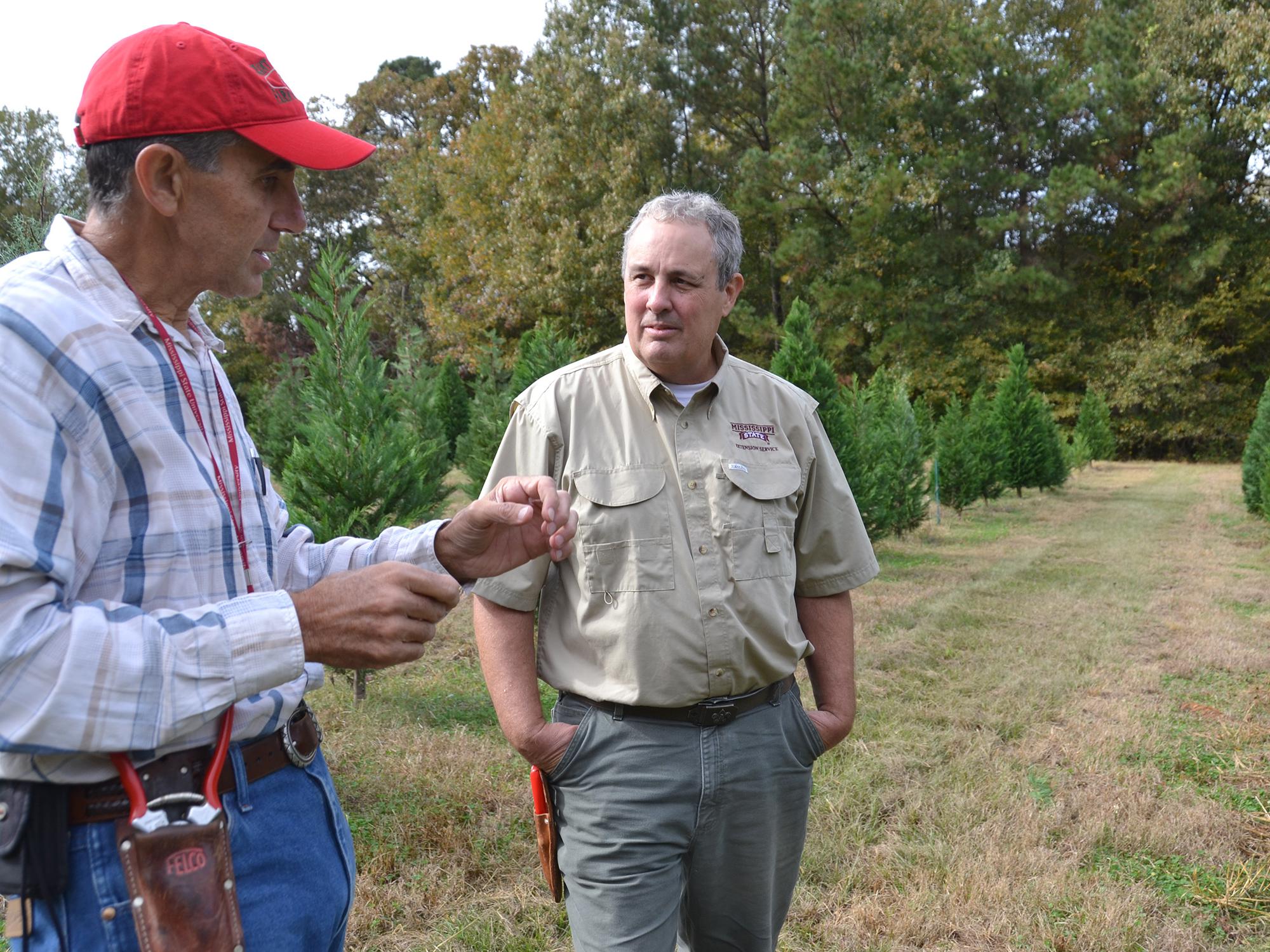 Christmas tree producer Don Kazery Jr., left, discusses agricultural practices on his Hinds County farm with Stephen Dicke, a forestry professor with the Mississippi State University Extension Service, on Nov. 6, 2014. Harsh weather conditions in 2014 and several years of high demand reduced the number of trees available in heavily populated counties. (Photo by MSU Ag Communications/Susan Collins-Smith)