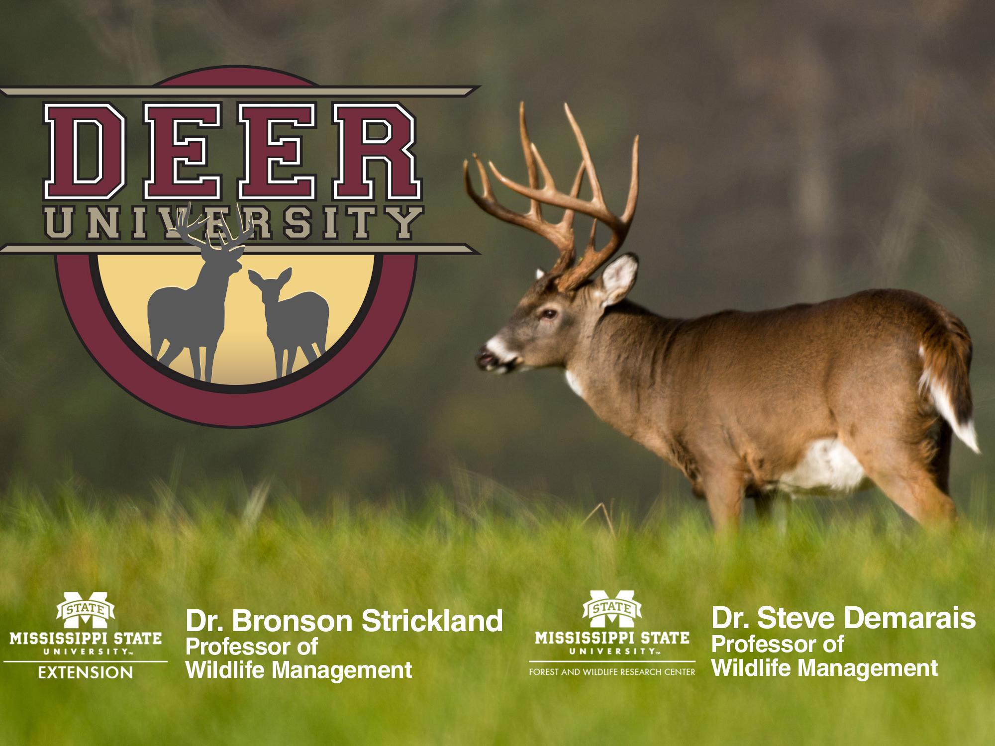 Deer University podcast launches May 11 and will be available to listeners free of charge.