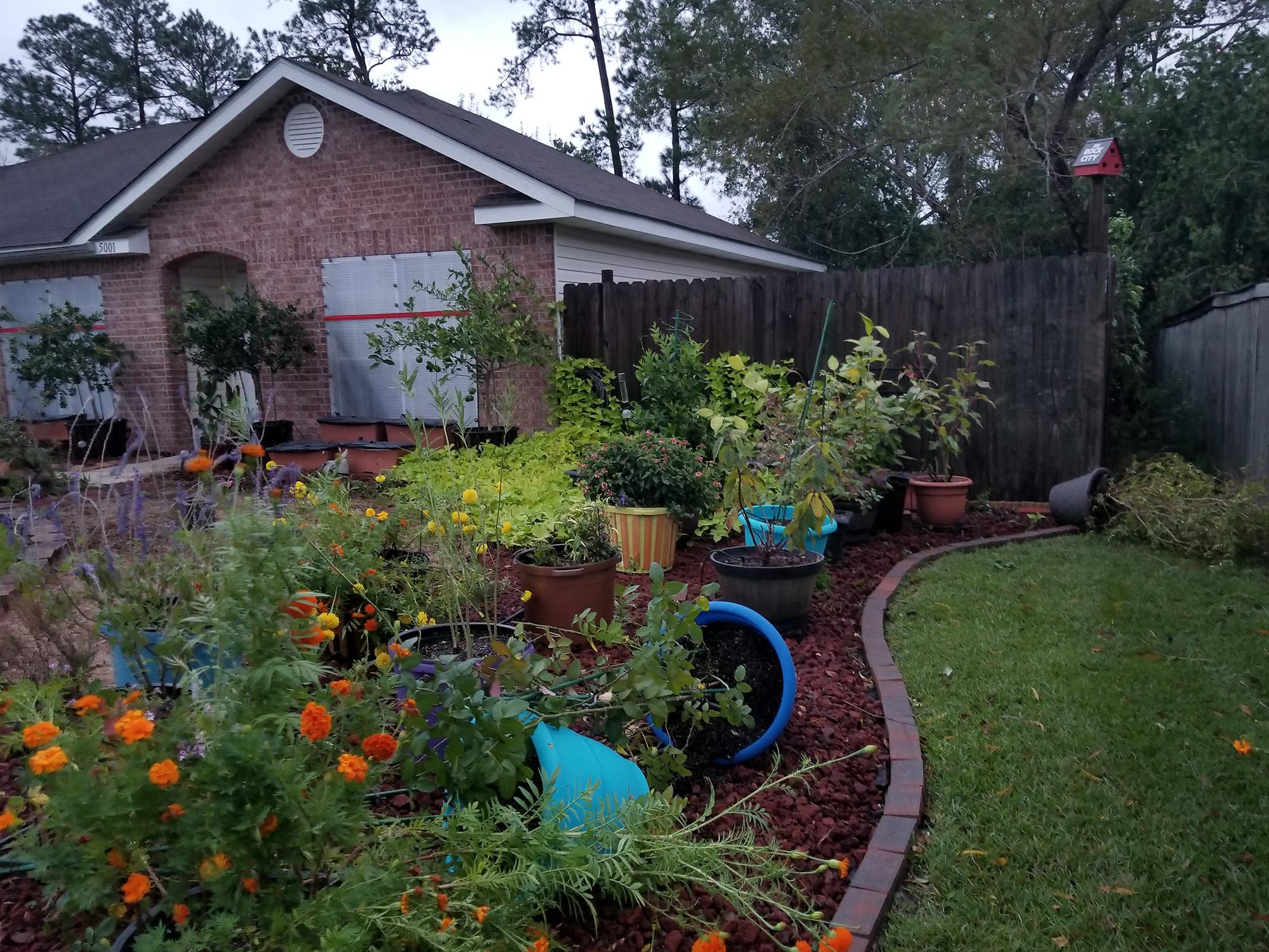  Several blue containers in this colorful landscape garden are blown over after heavy storm winds.