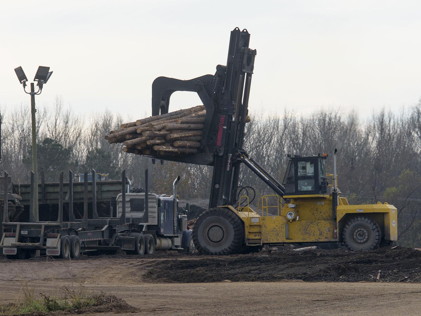 A yellow piece of heavy machinery lifts a load of cut trees off the back of a log truck in a sawmill yard.