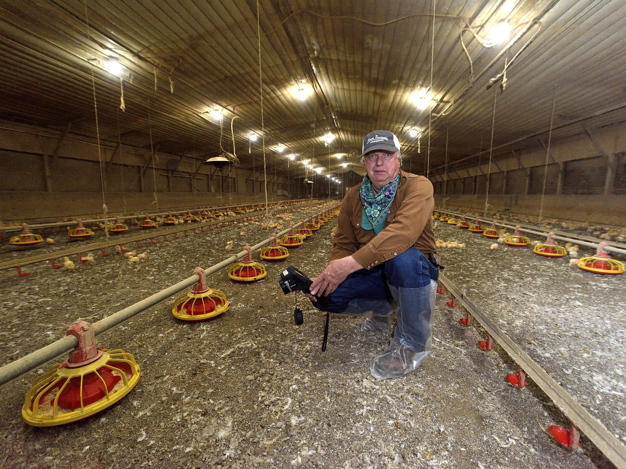 A man wearing a baseball caps squats down inside a poultry house, holding a black camera. Feeders line the floor in rows, small, yellow chicks feed nearby, and the house stretches behind him in the distance.