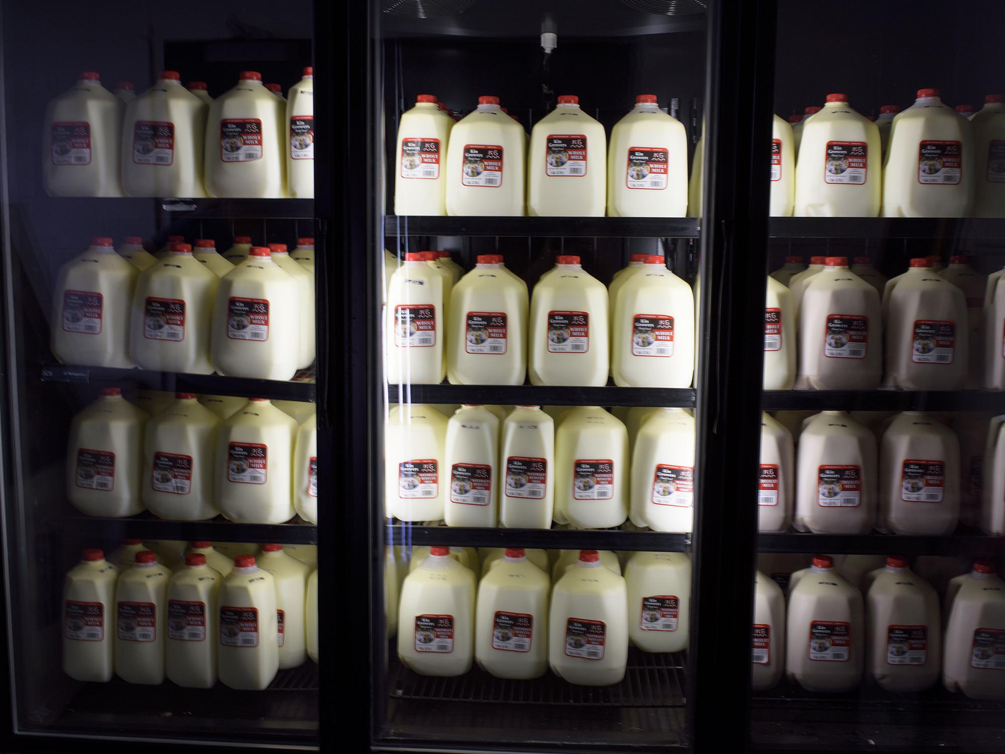 Three grocery store fridge doors are stocked with 1- and 2-gallon jugs of milk with red tops and labels.