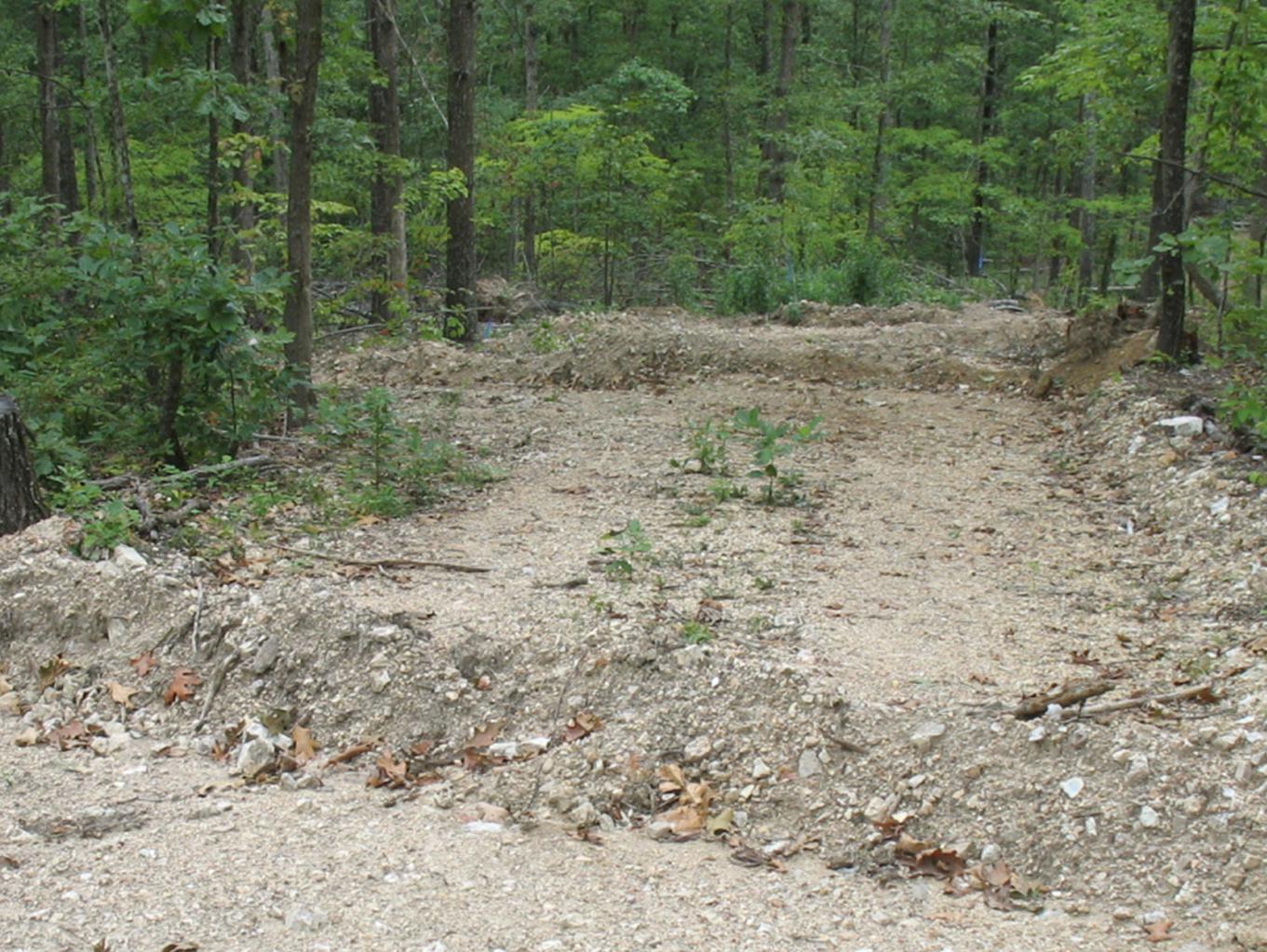 A single-lane dirt road runs through a green forest with a slightly raised dirt structure running across from one side to the other and another similar diversion several yards further up the road.