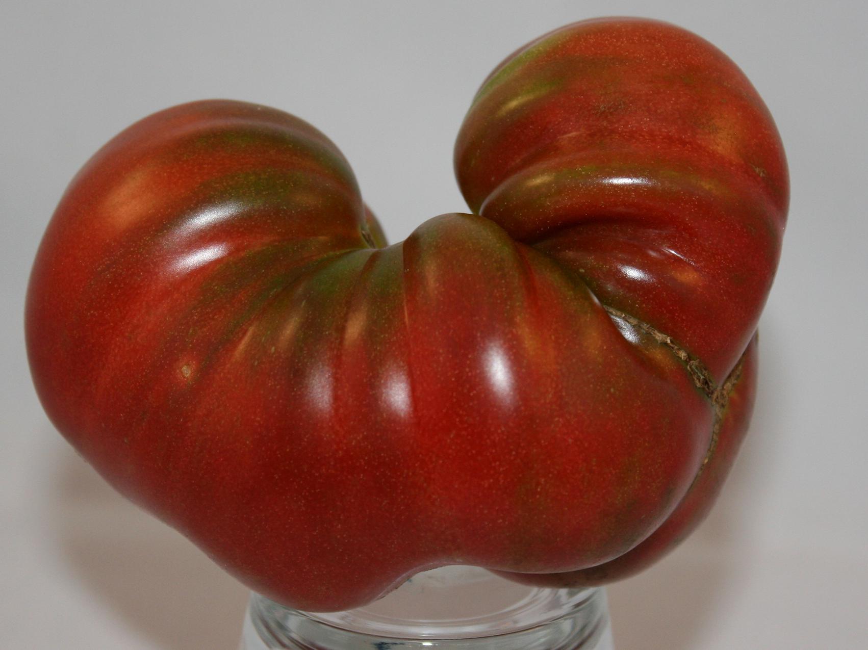 A mostly red tomato is shaped almost like the letter “U.”