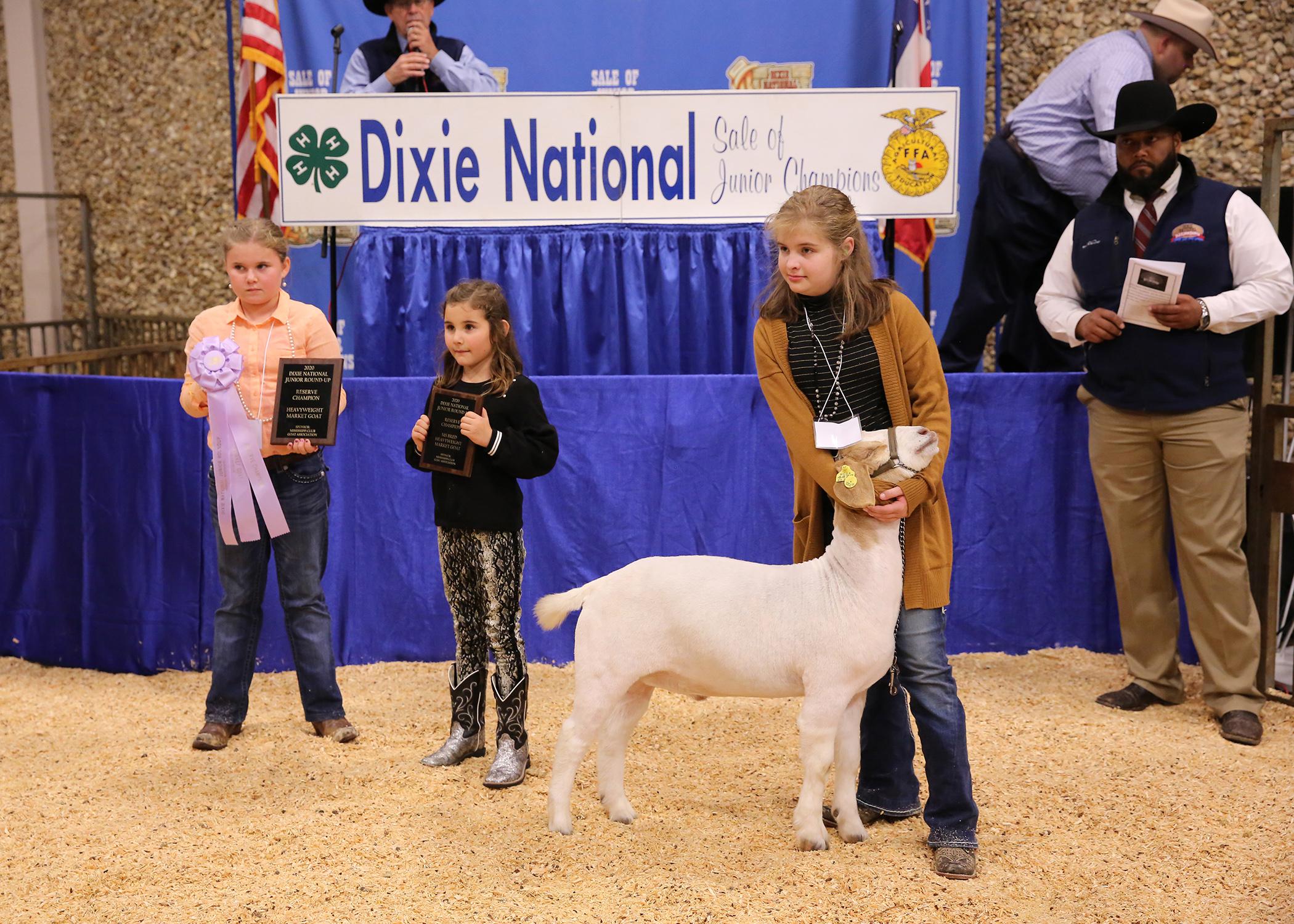 Young girl stands and holds up the head of a white goat with a brown head while two young girls stand in the background.