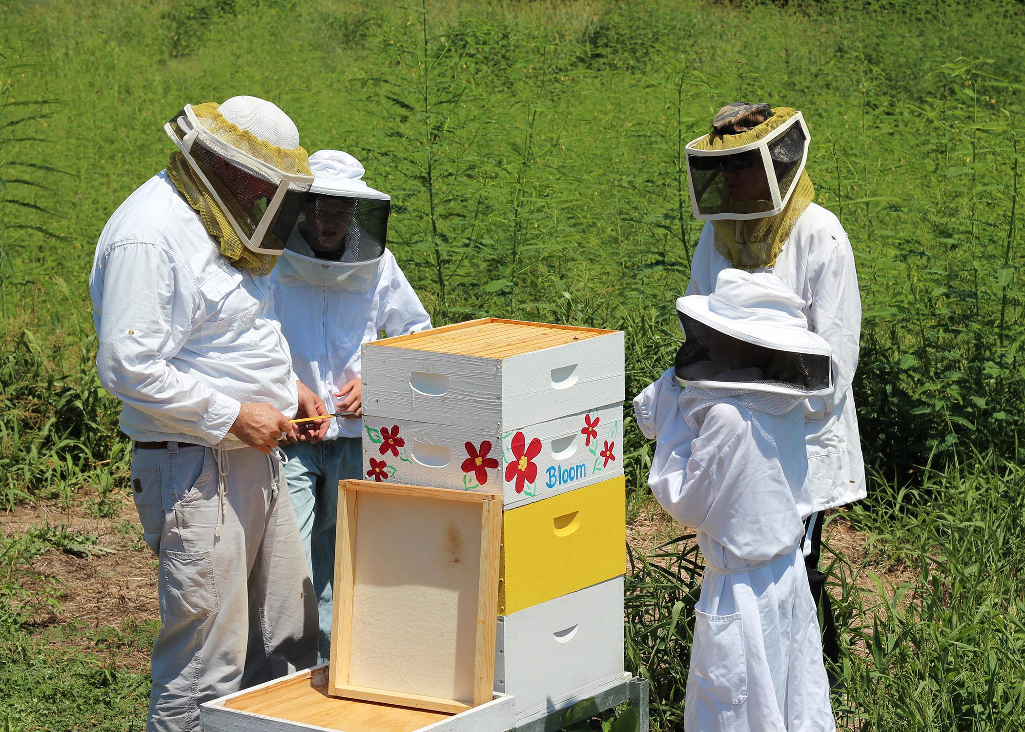 A beekeeper teaching three young people about keeping bees while looking at bee hives. 