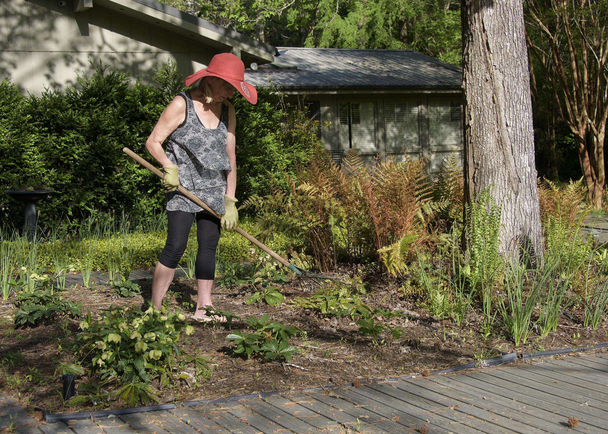 A woman uses a hoe to tend a flower bed.