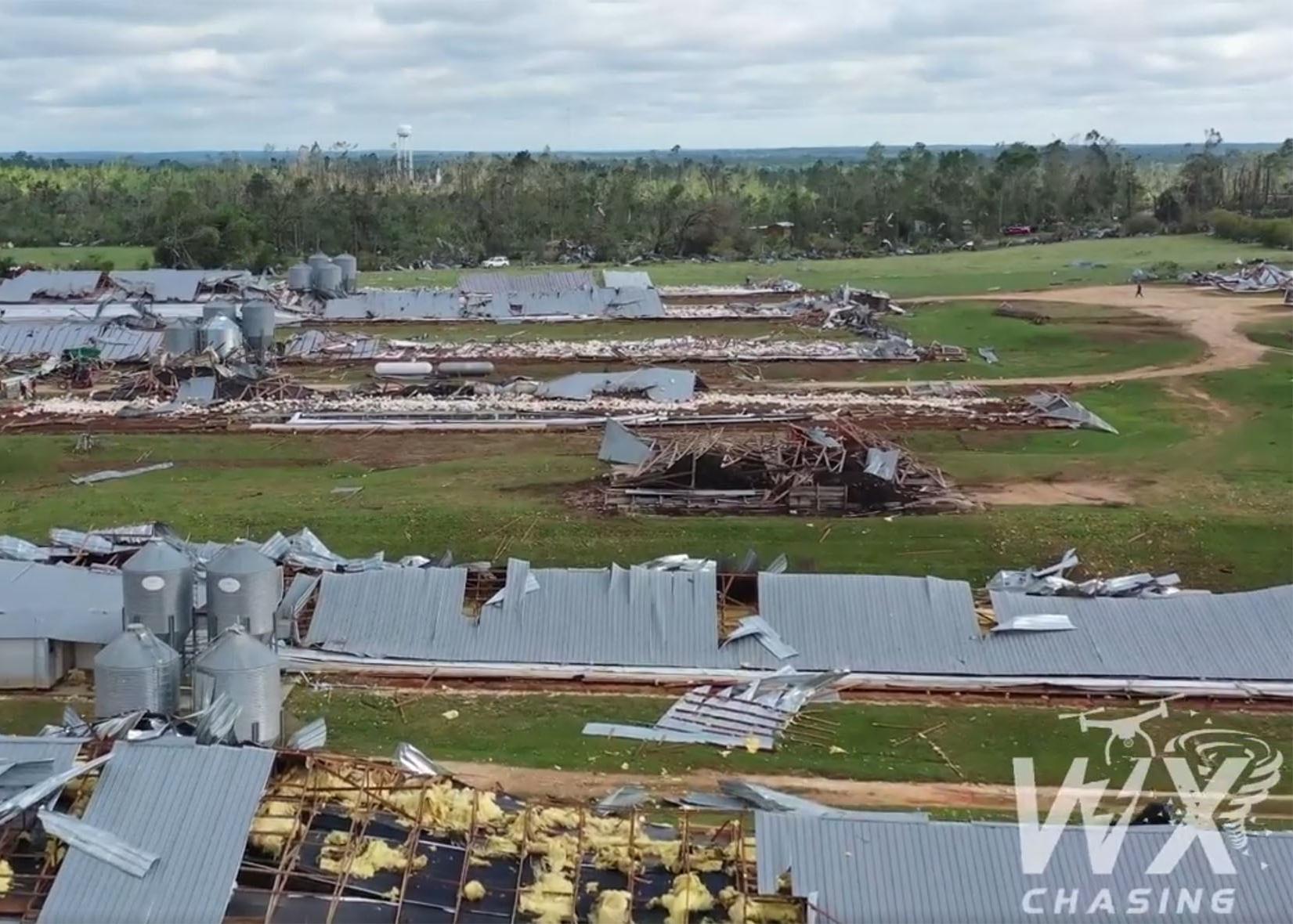 Metal roofs of poultry houses lie on the ground in rows amid twisted metal and debris.