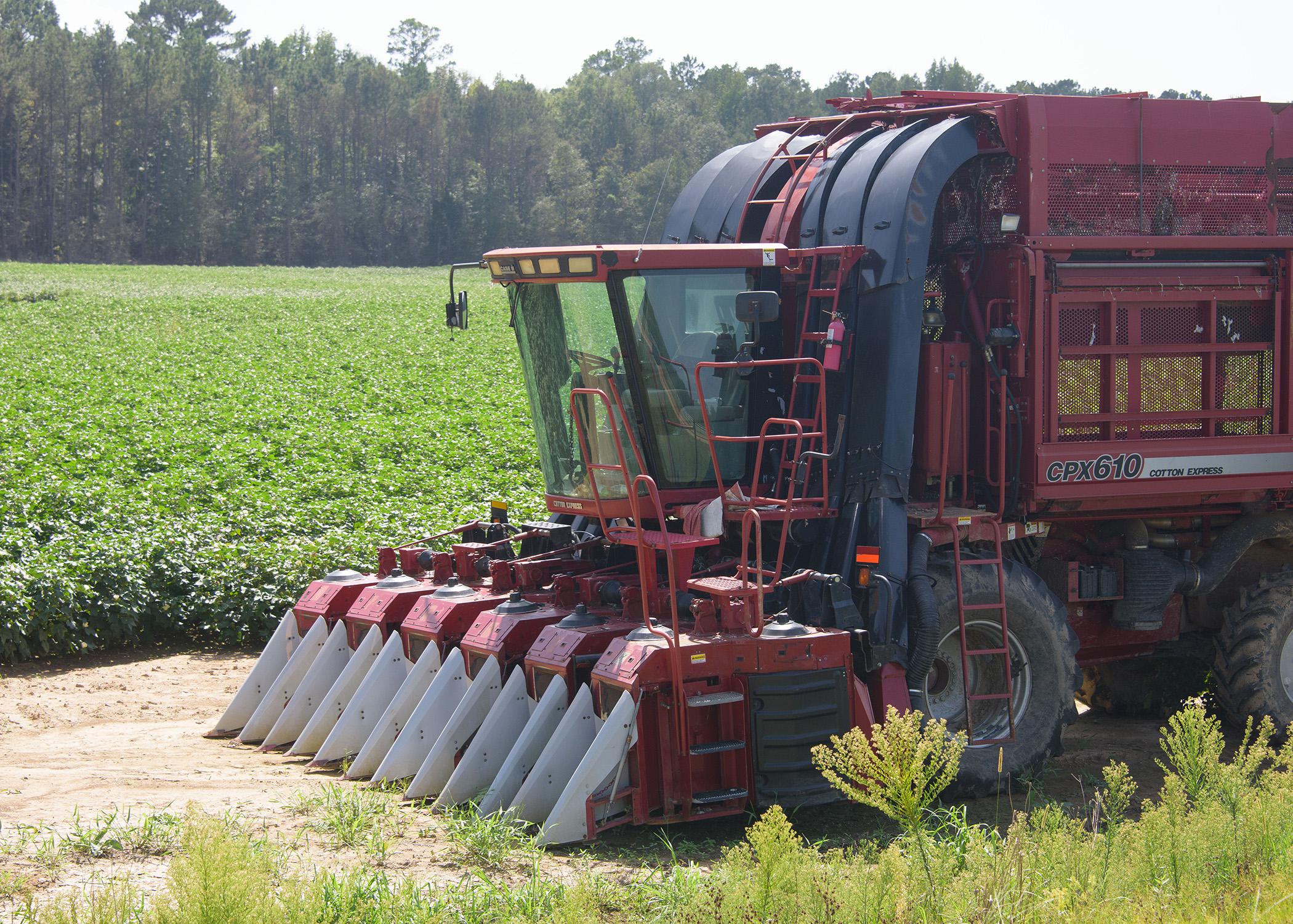 A red cotton picker sits in front of a cotton field.