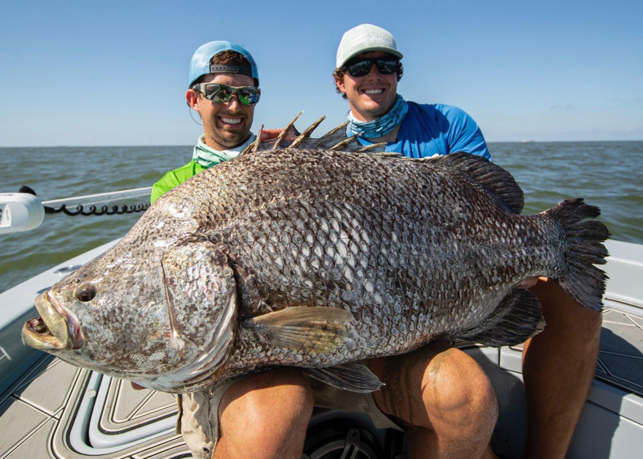 Two men in a boat pose with a large fish in their laps.