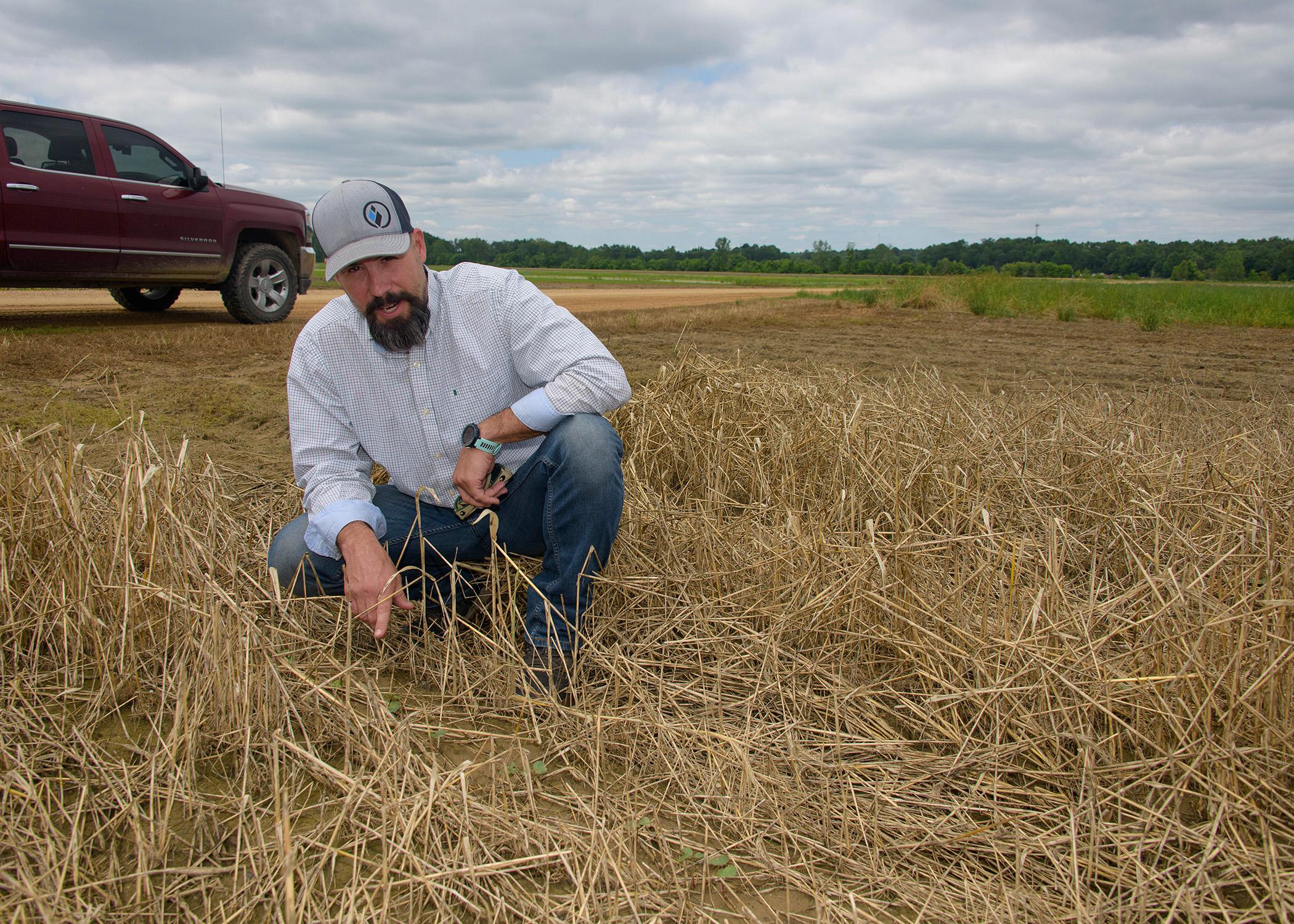  A man in a hat kneels among straw to point at tiny plants.