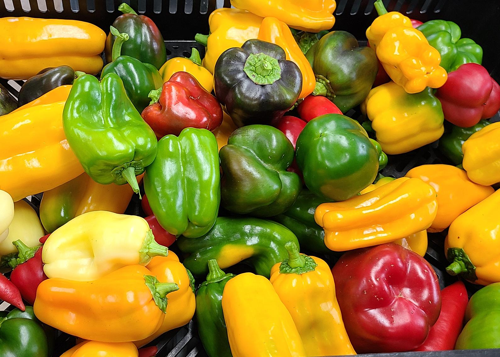 A basket holds an assortment of red, yellow and green peppers.