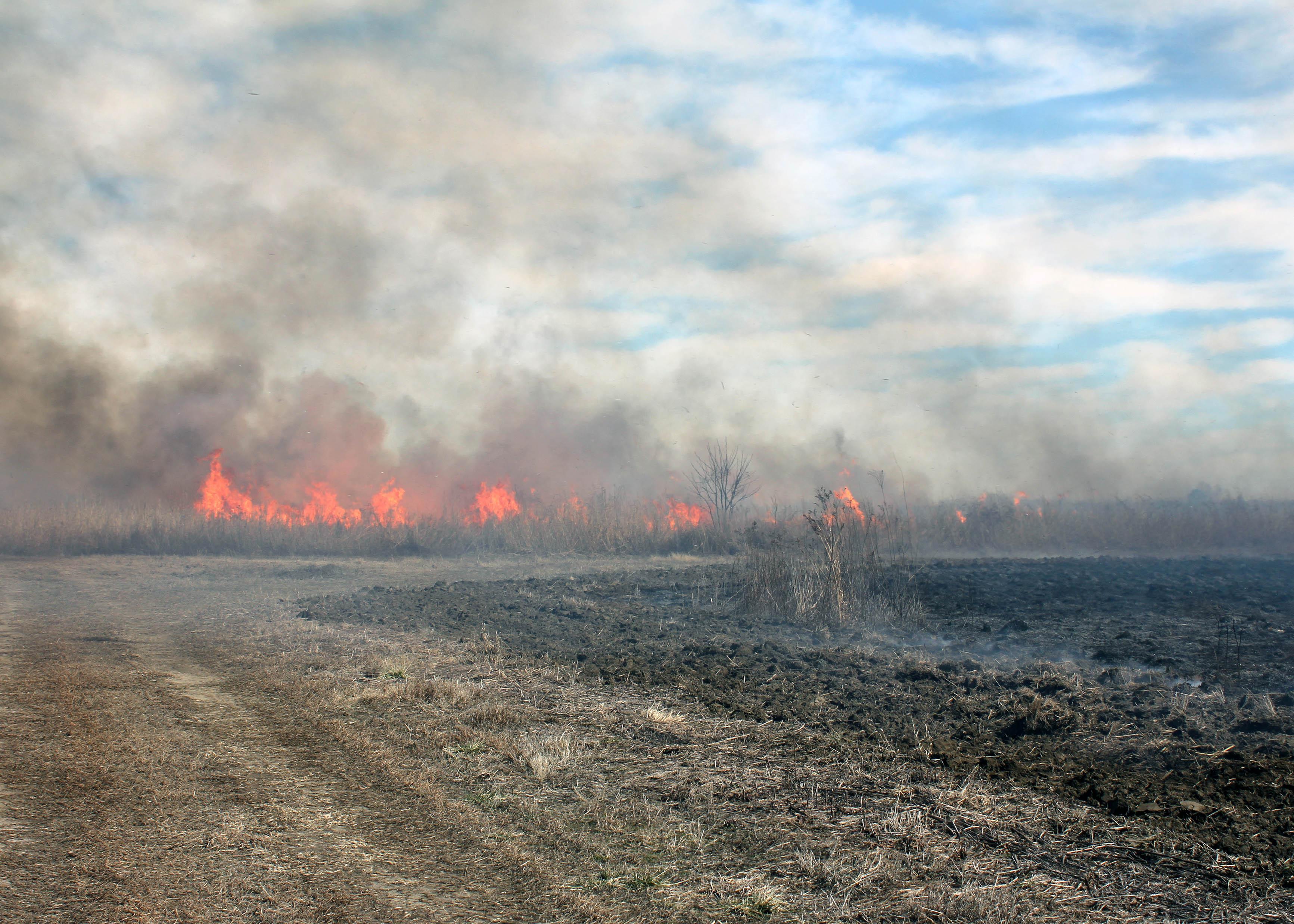 Prescribed burning is a useful and very valuable management option on public and private lands. (Photo by MSU Extension Service)
