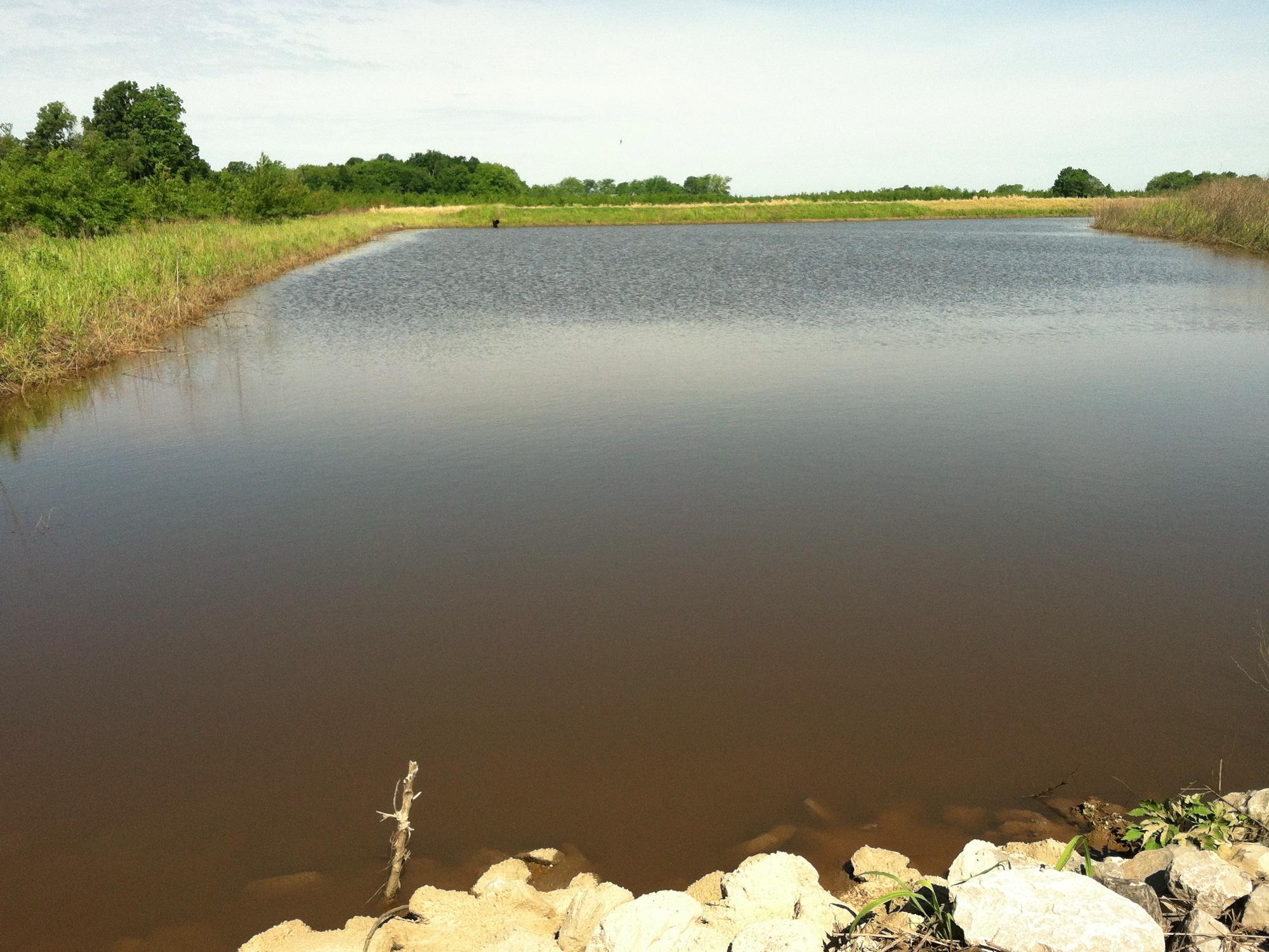 This is a tailwater recovery system on a row-crop farm in the Mississippi Delta. (MSU Extension Service file photo)