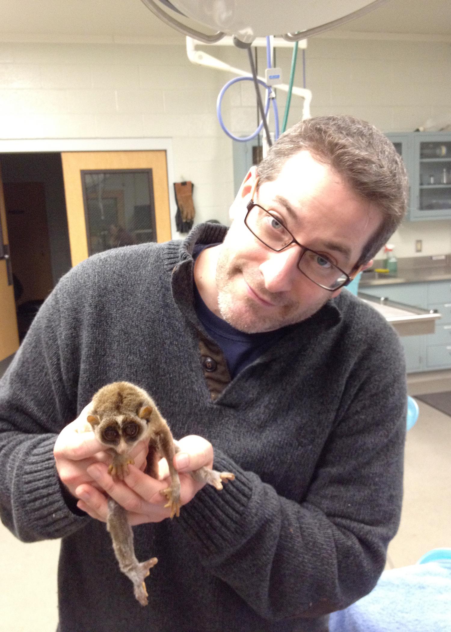 Andrew Kouba, the new head of the Mississippi State University Department of Wildlife, Fisheries and Aquaculture, holds a slender loris. (File photo)