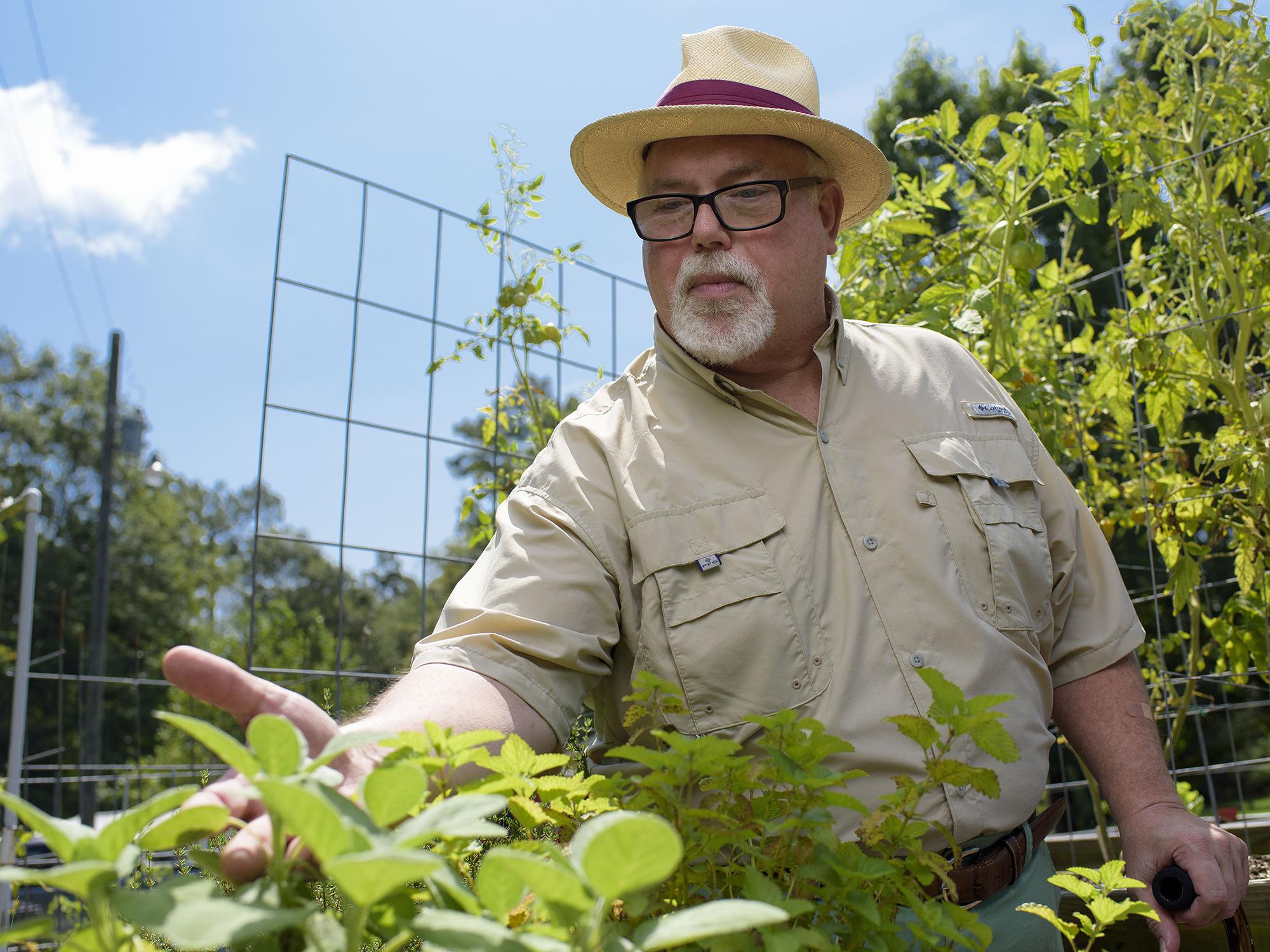Hattiesburg pharmacist Jim Murray grows vegetables and herbs on a salad table. The raised plant beds are built and distributed by Master Gardener volunteers trained by the Mississippi State University Extension Service. (Photo by MSU Extension Service/Kevin Hudson)