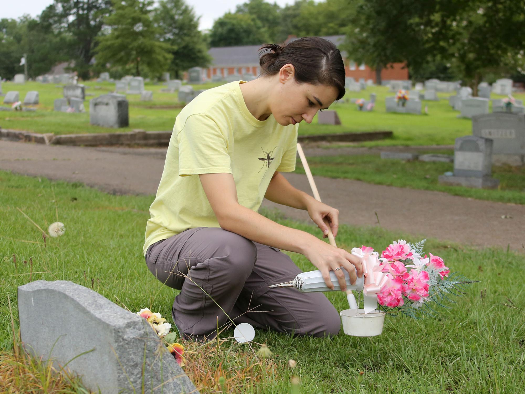 Gail Moraru, a research associate with the Mississippi State University Extension Service, collects mosquito larvae in water from a vase in Odd Fellows Cemetery in Starkville, Mississippi, on Aug. 10, 2016. Moraru and others workers with MSU Extension are collecting samples in 41 north Mississippi counties in an effort to pinpoint potential Zika-affected areas. (Photo by MSU Extension Service/Kat Lawrence)
