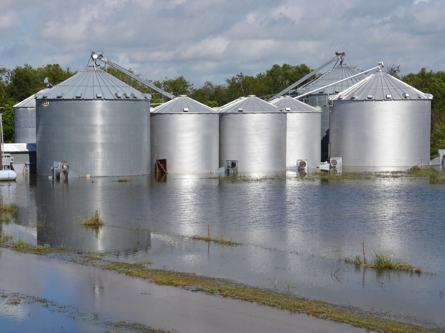 Flooded grain bins in Crowley, Louisiana, are among the many problems Louisiana producers are facing after historic flooding caused more than $100 million in damage to the state’s agriculture. Mississippi State University Extension Service personnel have worked with state hay growers to send forage to producers in Louisiana affected by flooding earlier this month. (Photo by Louisiana State University AgCenter Communications/Bruce Schultz)