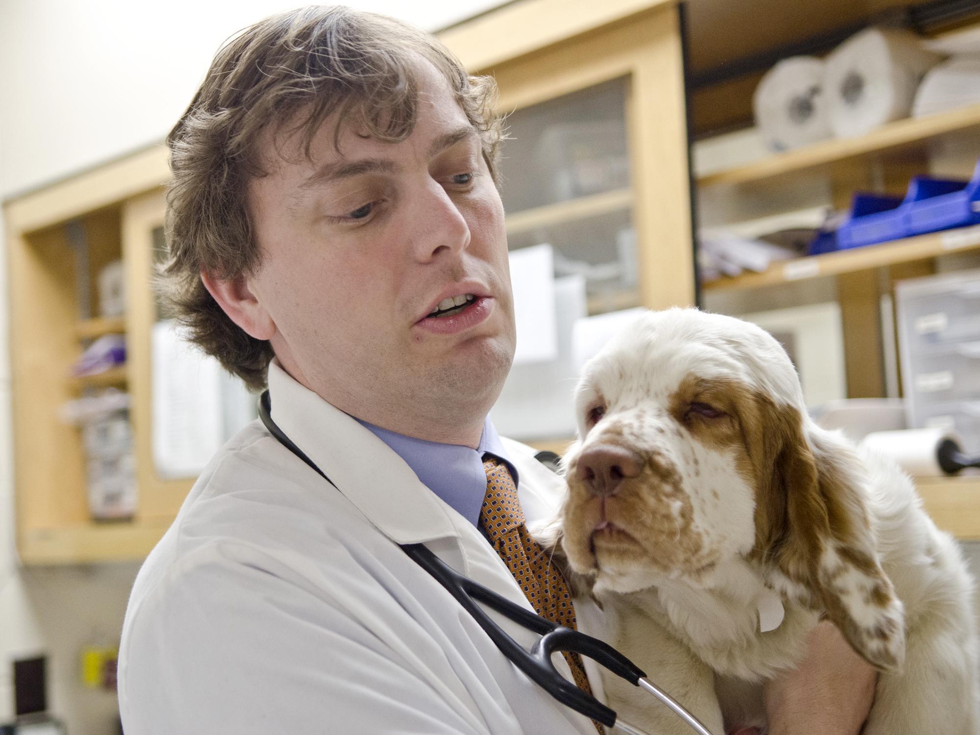 Dr. Jeb Cade, an assistant clinical professor at the Mississippi State University College of Veterinary Medicine, is part of a team researching more efficient and cost-effective ways of treating a common condition in Mississippi dogs. (Photo by MSU College of Veterinary Medicine/Tom Thompson)