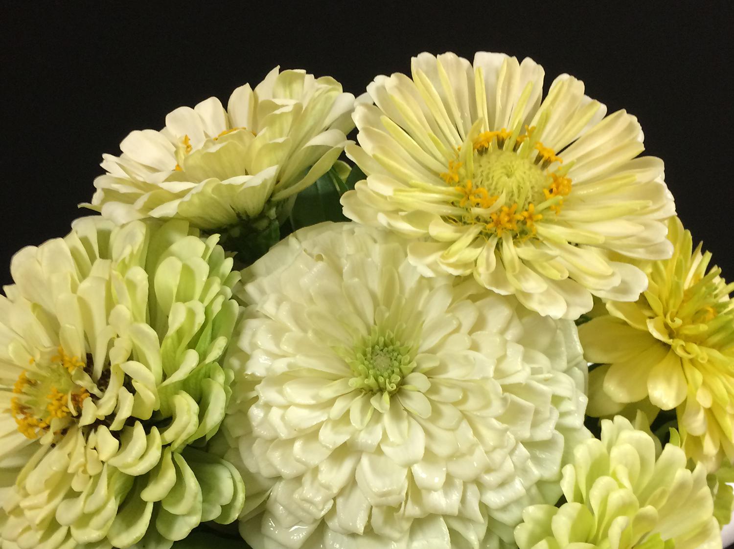 Professional florists can learn to make arrangements for bouquets like this one during a two-day wedding floral workshop on Jan. 30 and 31offered by Jim DelPrince, floral design specialist with the Mississippi State University Extension Service. (Photo by MSU Extension Service/Jim DelPrince)