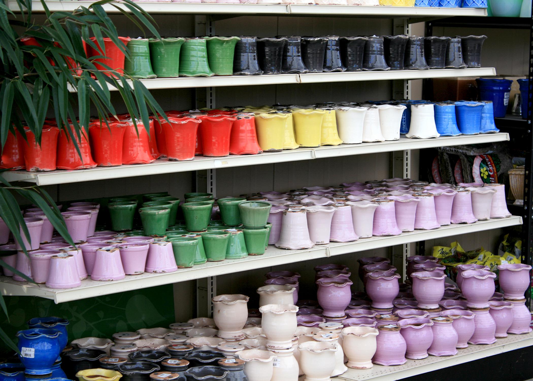 When spring fever sets in before winter is over, find a pretty container and create your own combination planting. (Photo by MSU Extension Service/Gary Bachman)