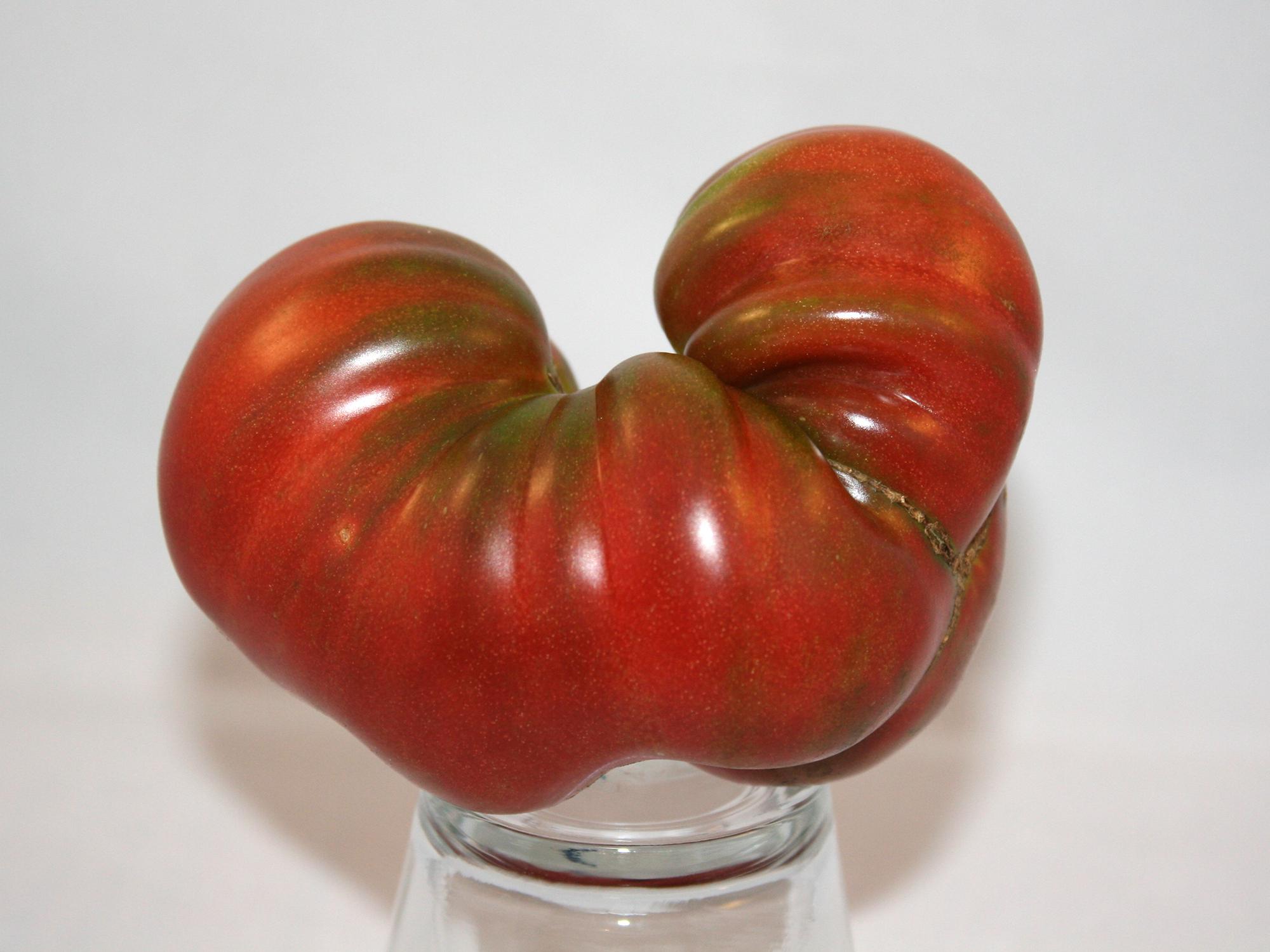 Heirloom tomatoes, such as this Black Sea variety, are generally lumpy and bumpy, and they split and crack easily, but their reward is in increased taste and flavor. (Photo by MSU Extension/Gary Bachman)