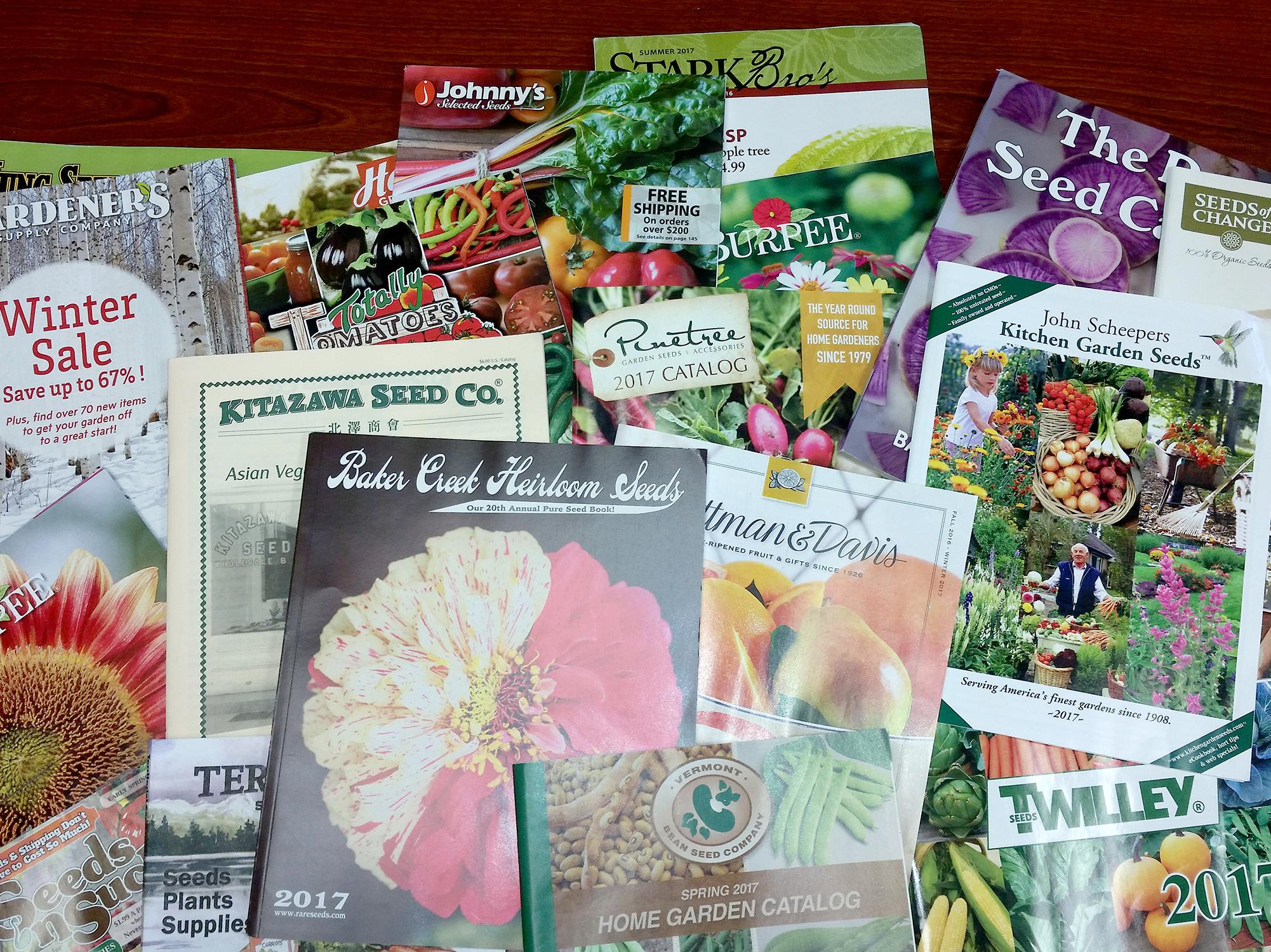 Nothing beats looking at displays of beautiful plants in the garden center, but an advantage of ordering from catalogs is getting exactly the variety you want and maybe even trying news ones. (Photo by MSU Extension/Gary Bachman)