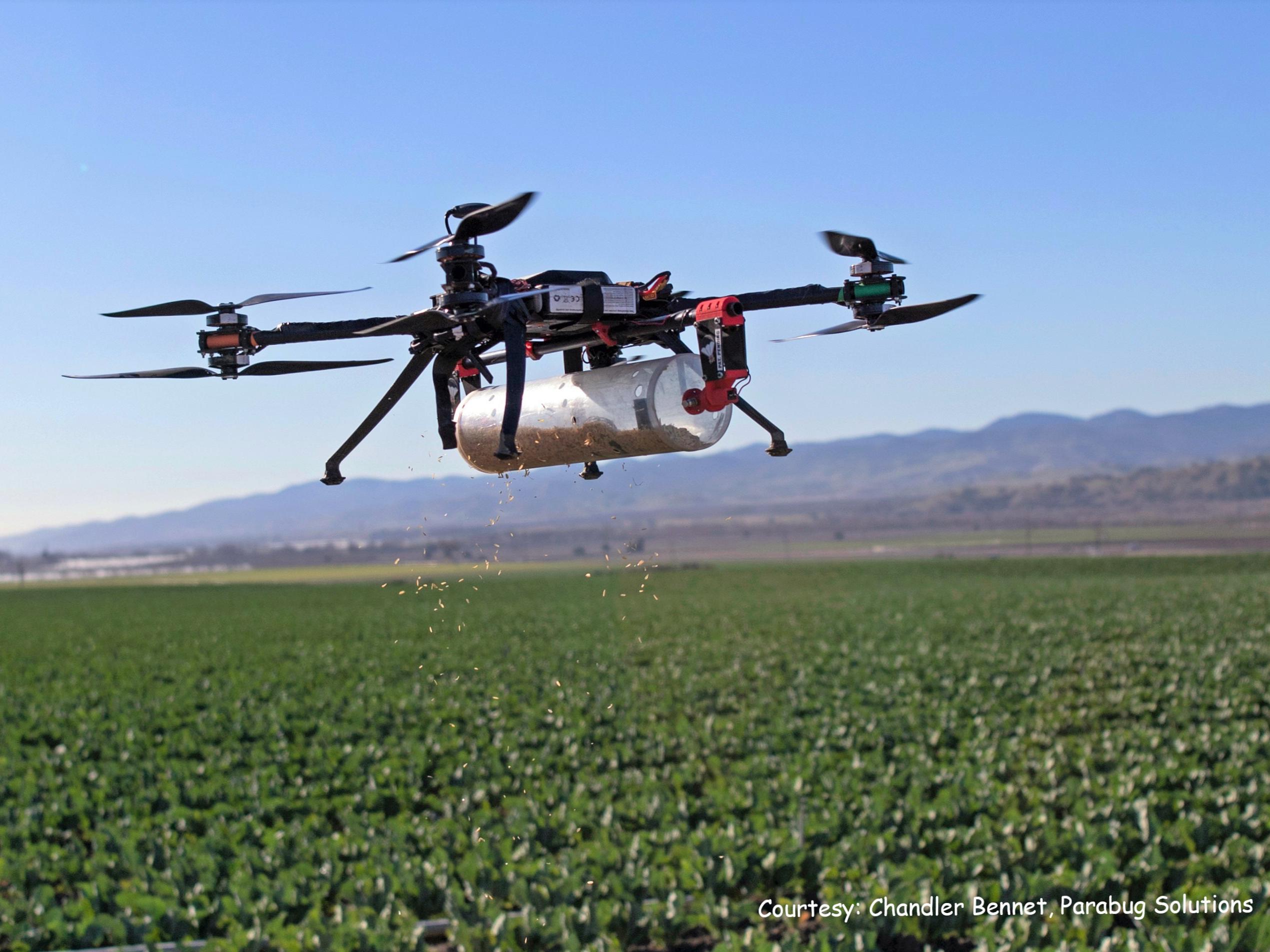 pesticide drone flying over crop.